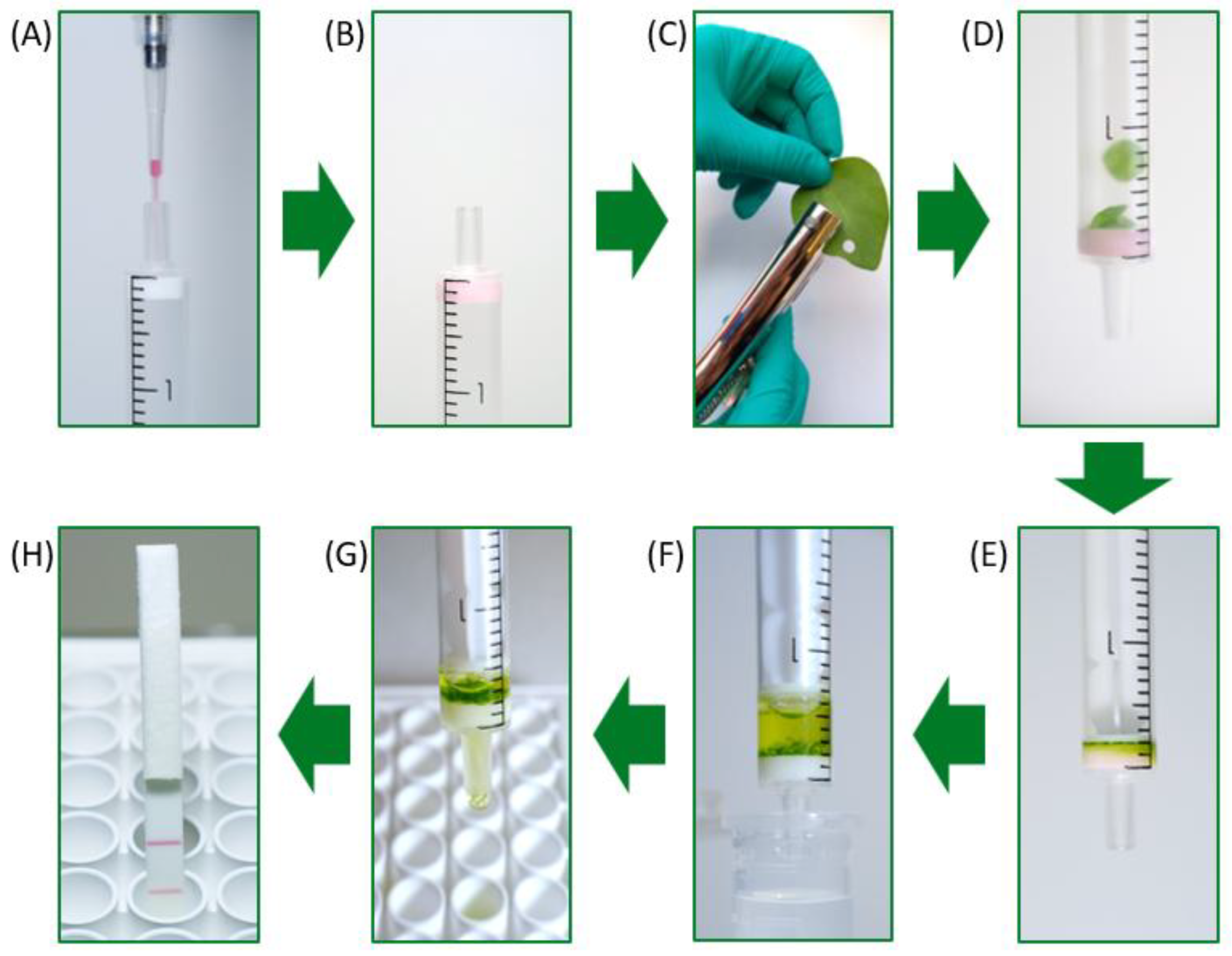 Preprints 190014 g006