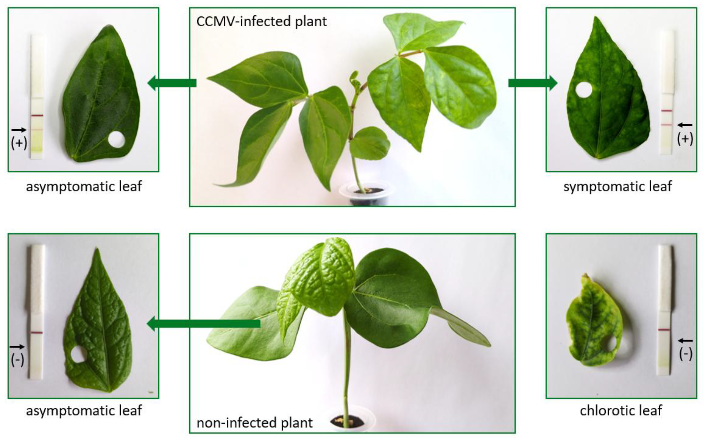 Preprints 190014 g007