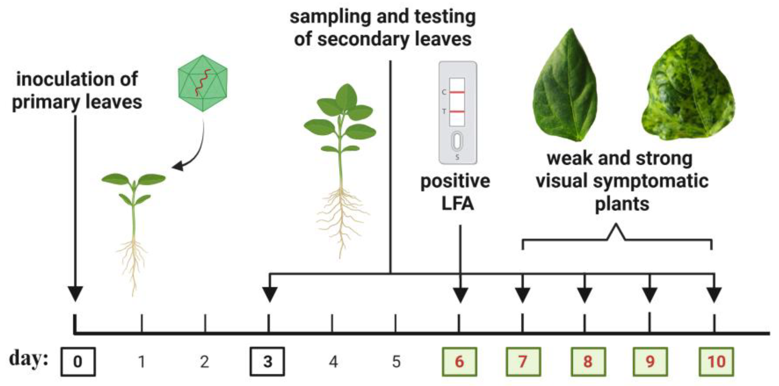 Preprints 190014 g008