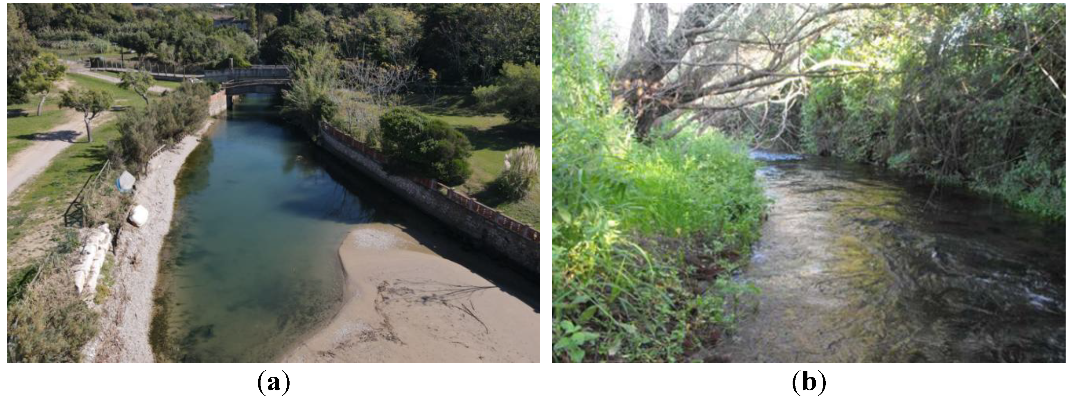 Preprints 183373 g004