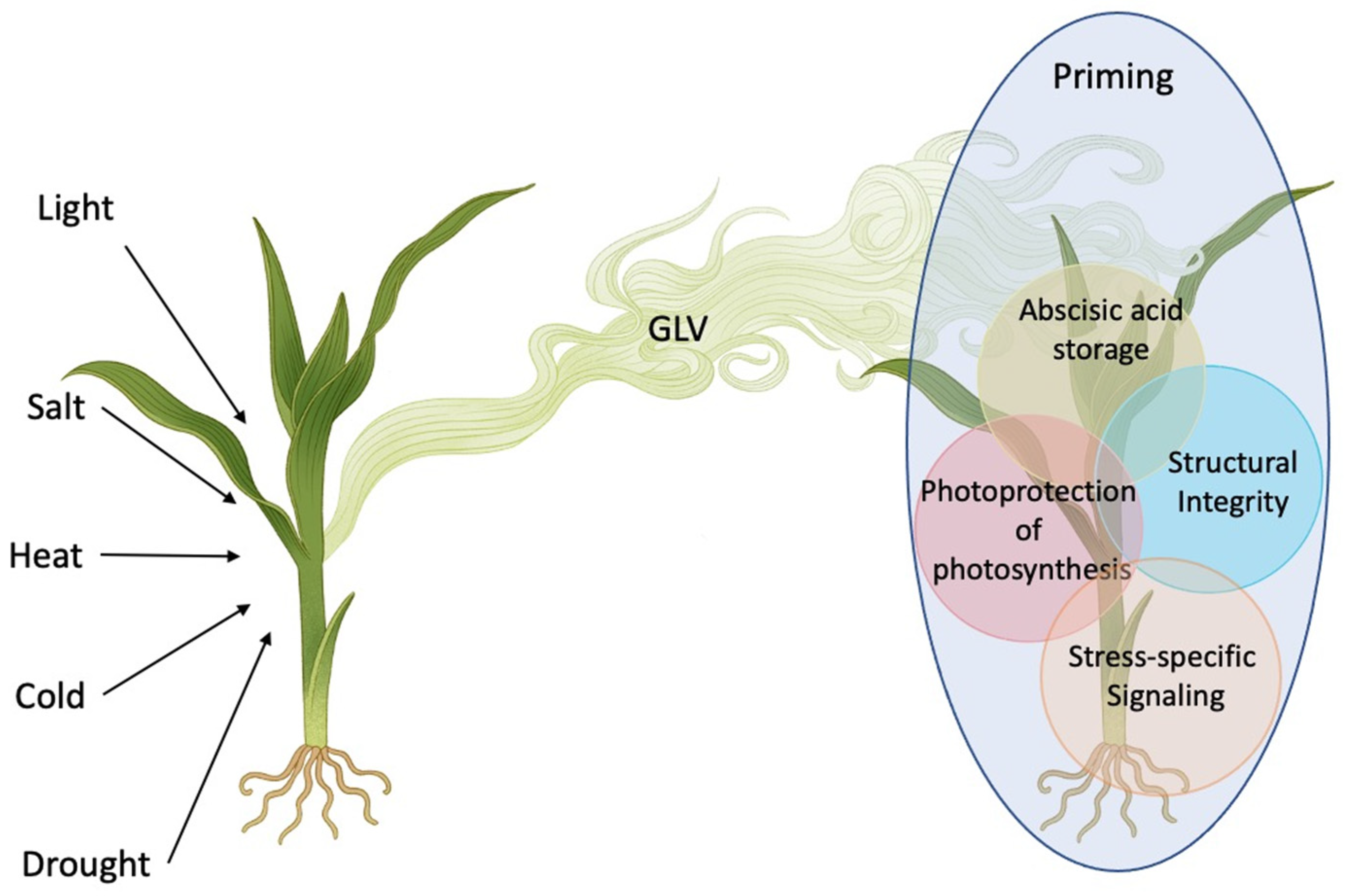 Preprints 106990 g002