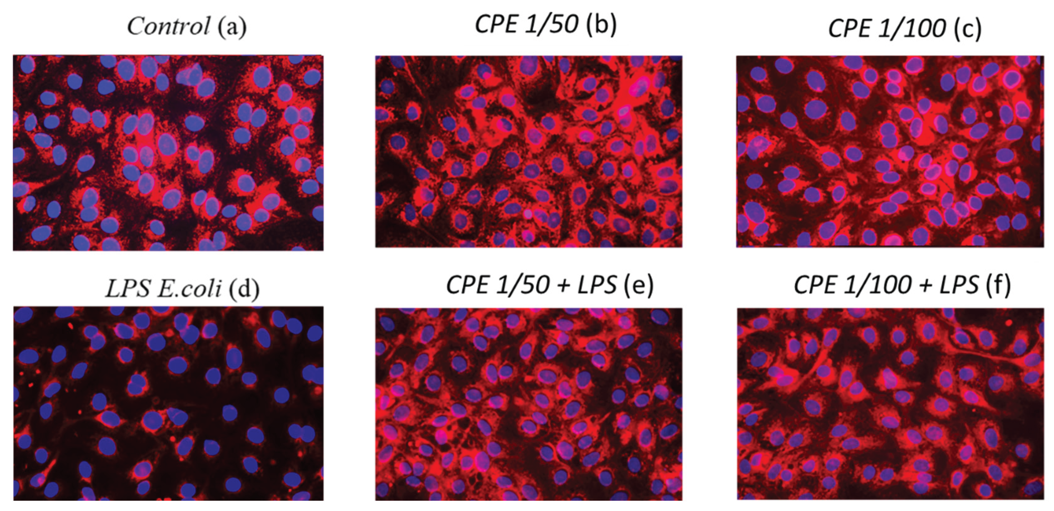 Preprints 215381 g010 Preprints 215381 g010
