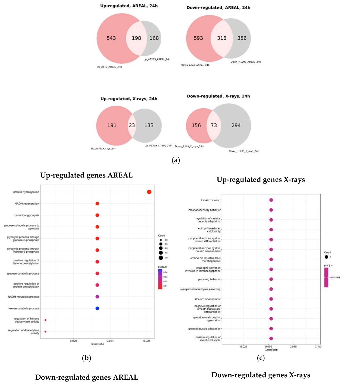 Preprints 217702 g003a Preprints 217702 g003a