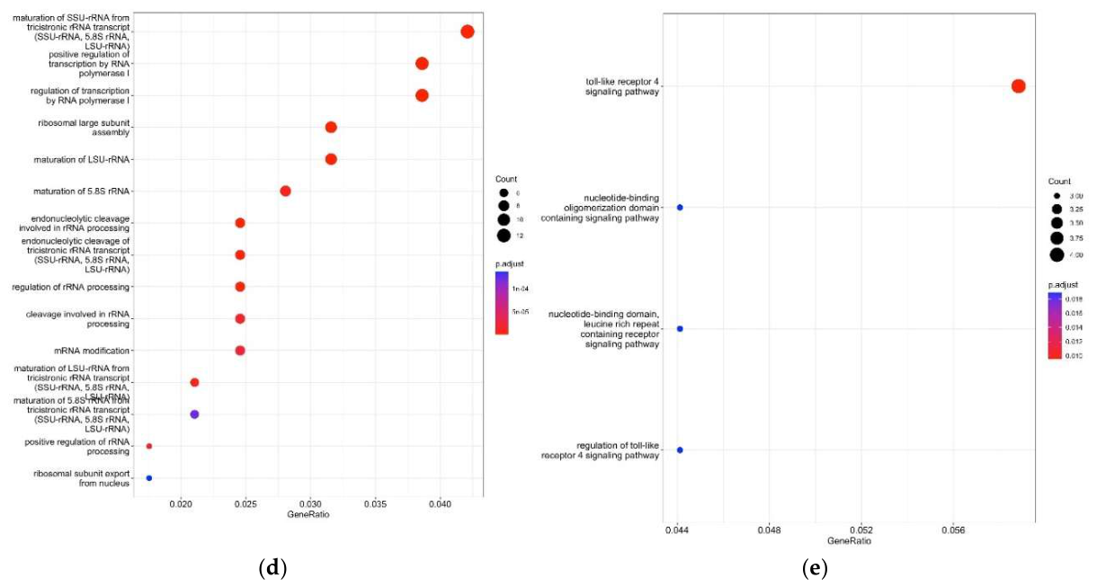 Preprints 217702 g003b