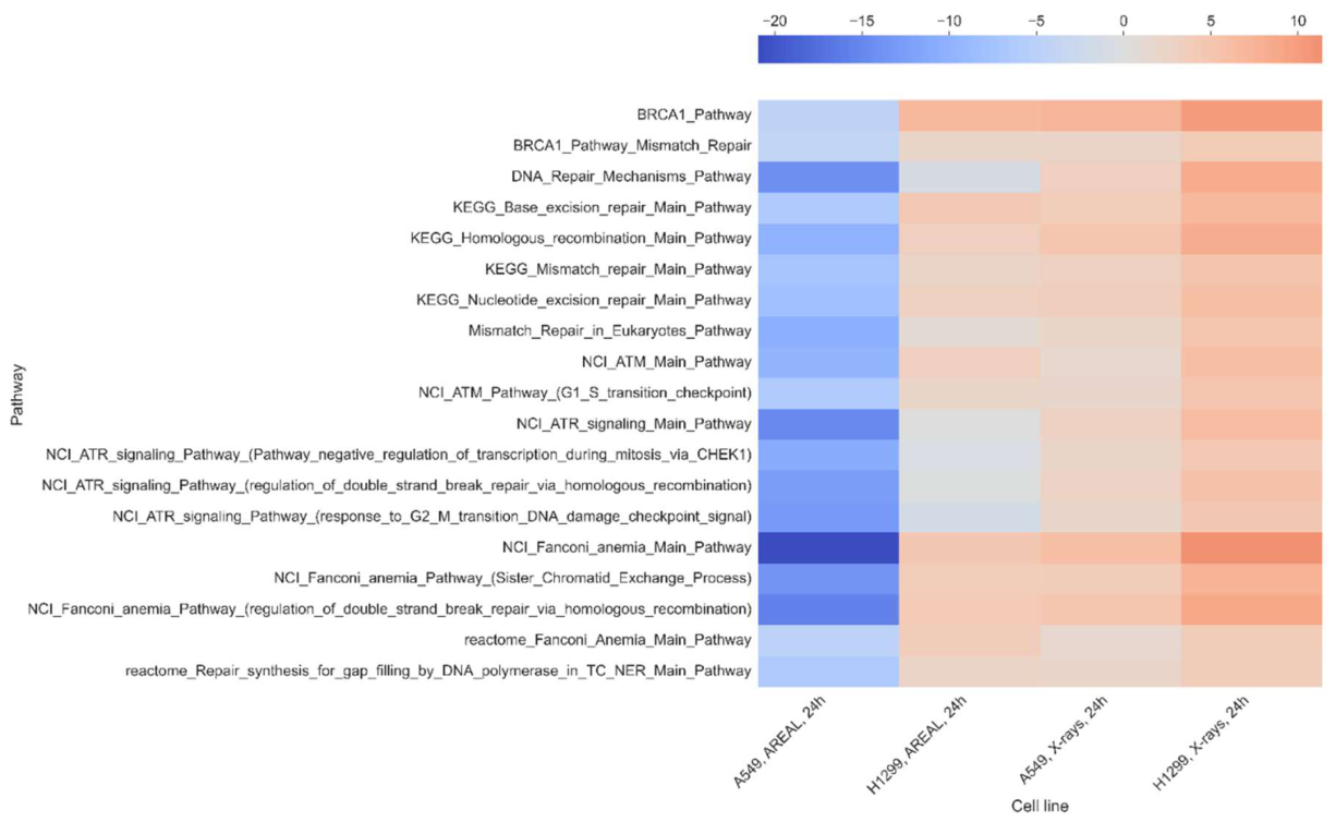 Preprints 217702 g005 Preprints 217702 g005
