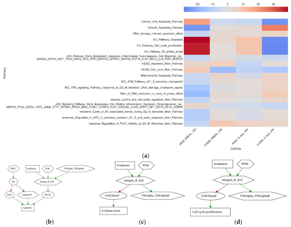 Preprints 217702 g006 Preprints 217702 g006