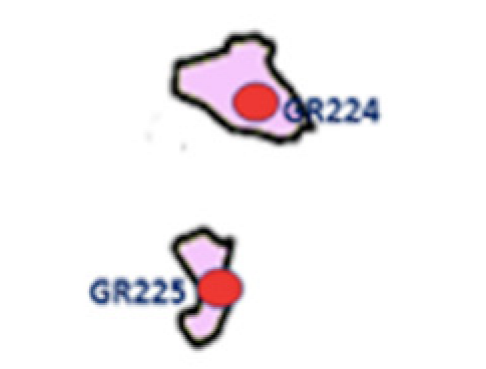 Preprints 71216 i001