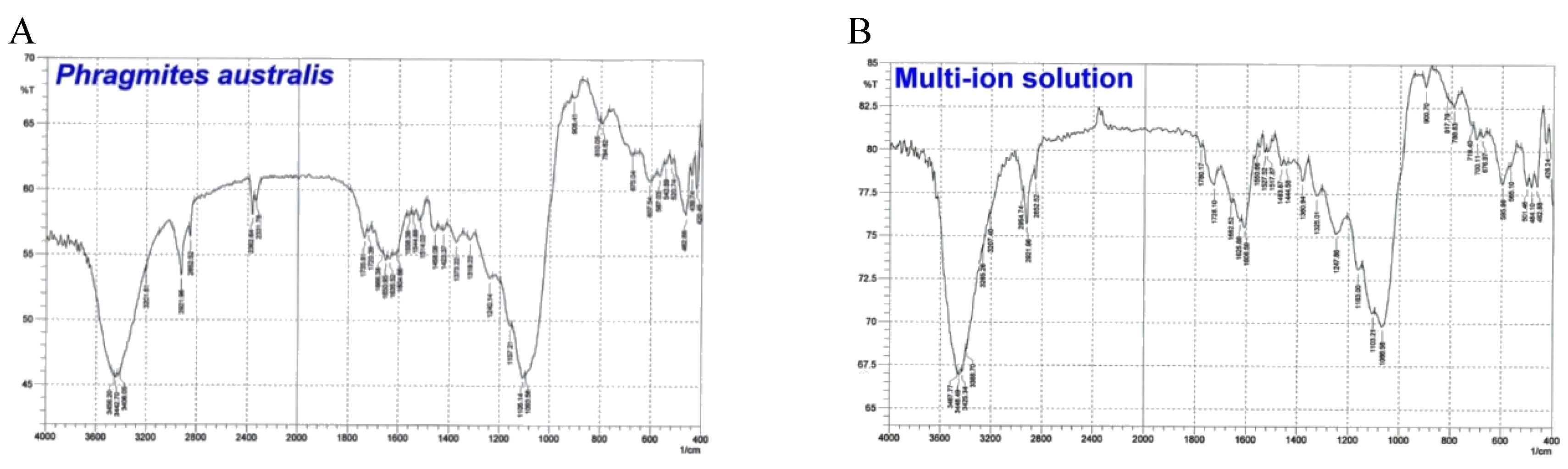 Preprints 157067 g006