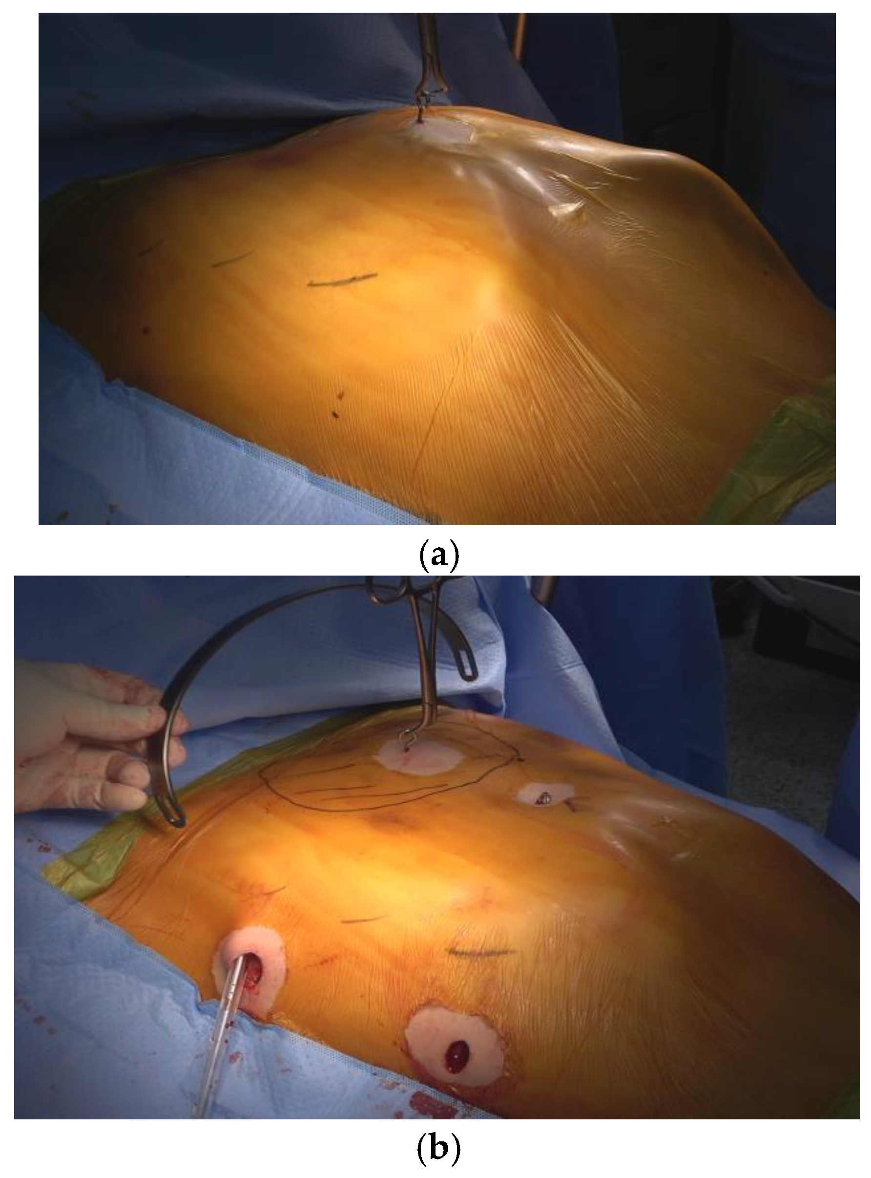 Preprints 159645 g001a