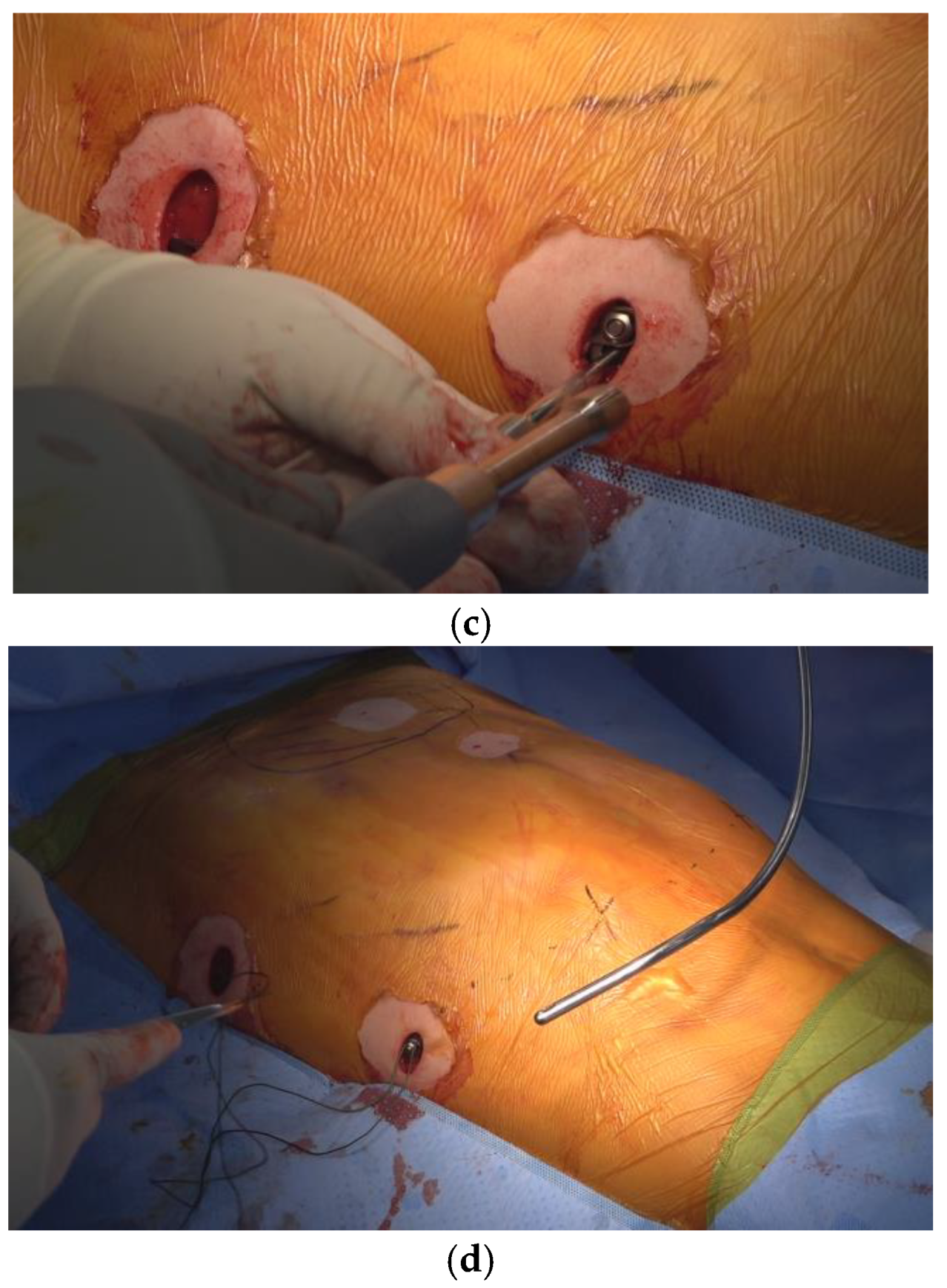 Preprints 159645 g001b