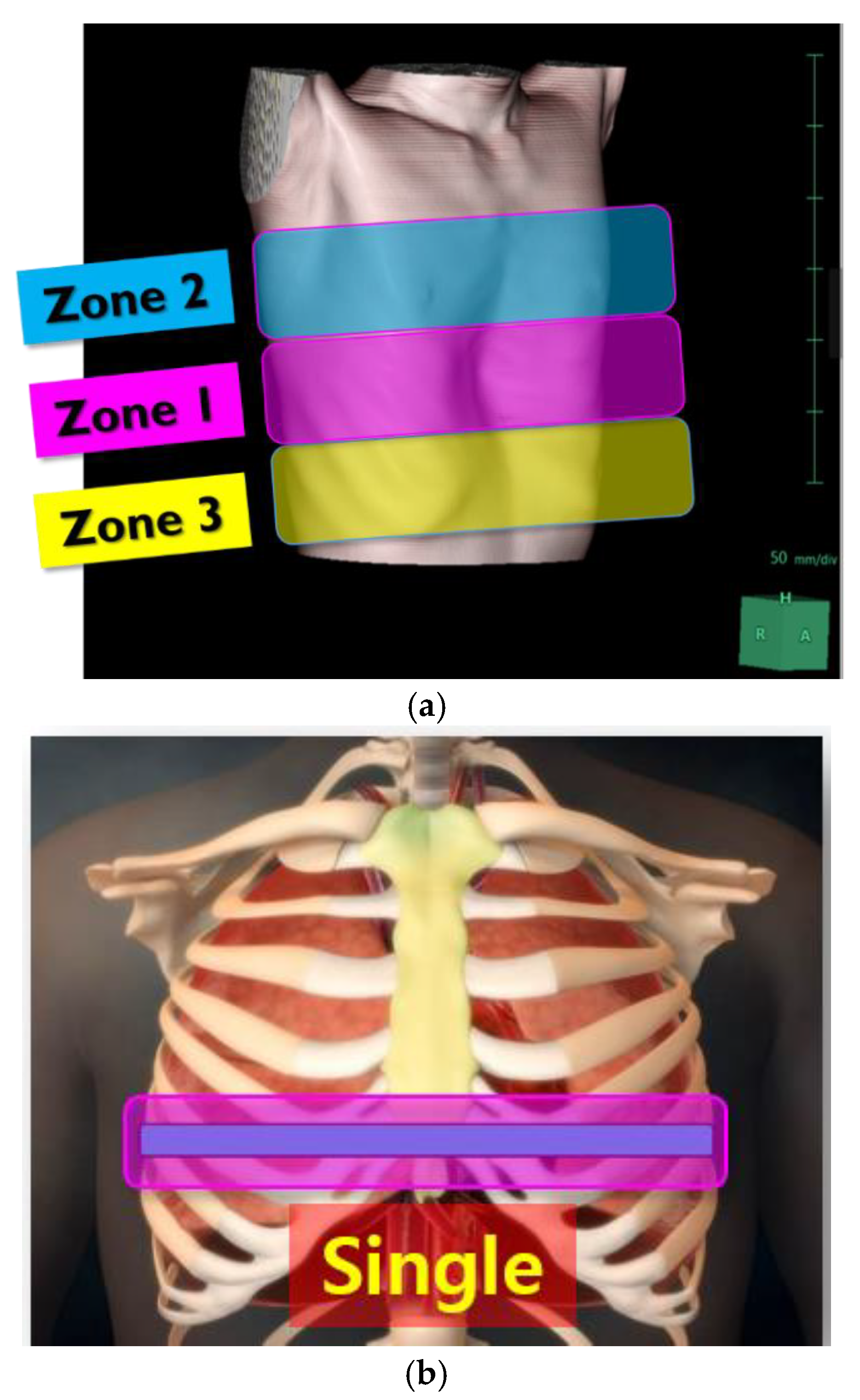 Preprints 159645 g003a