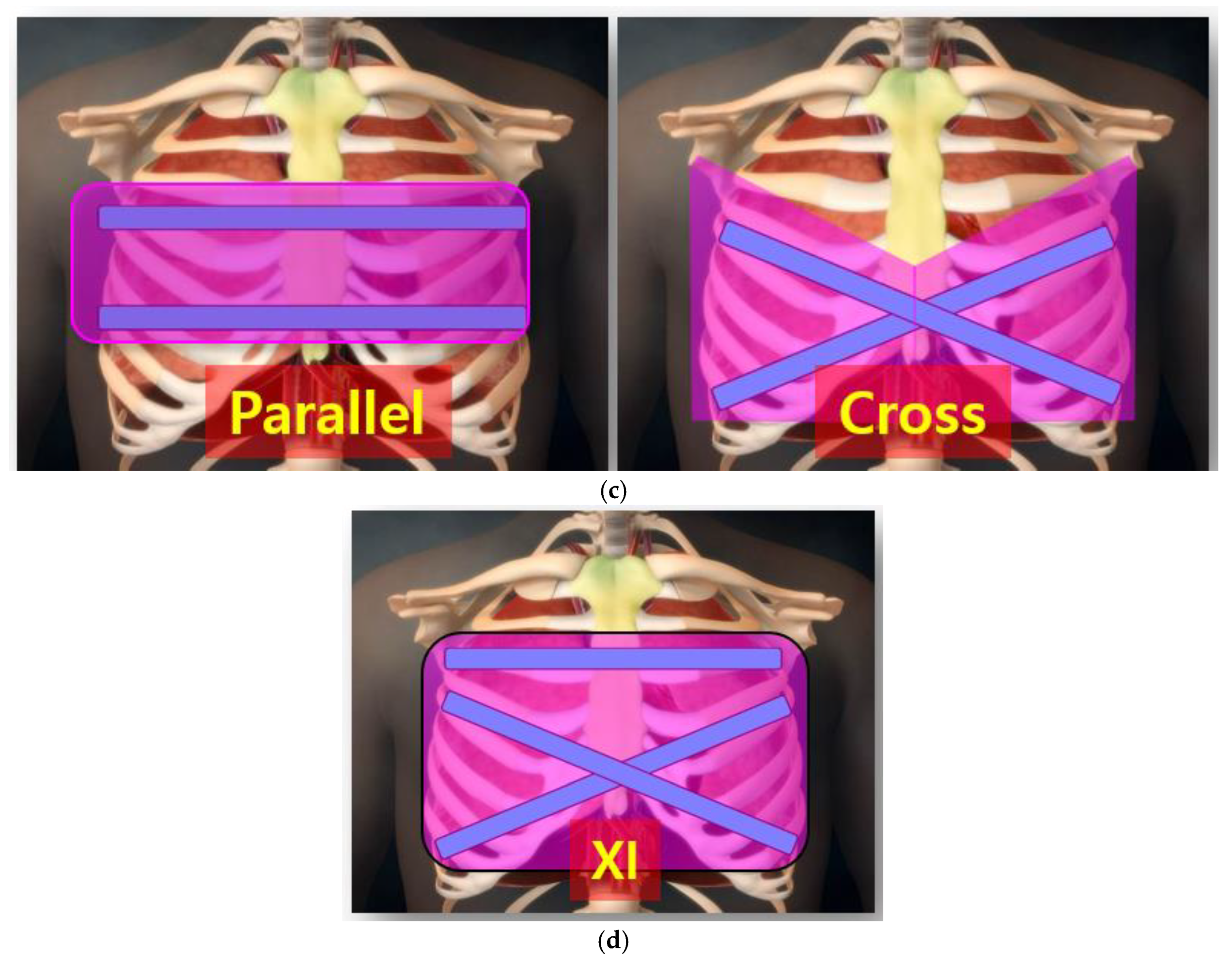 Preprints 159645 g003b