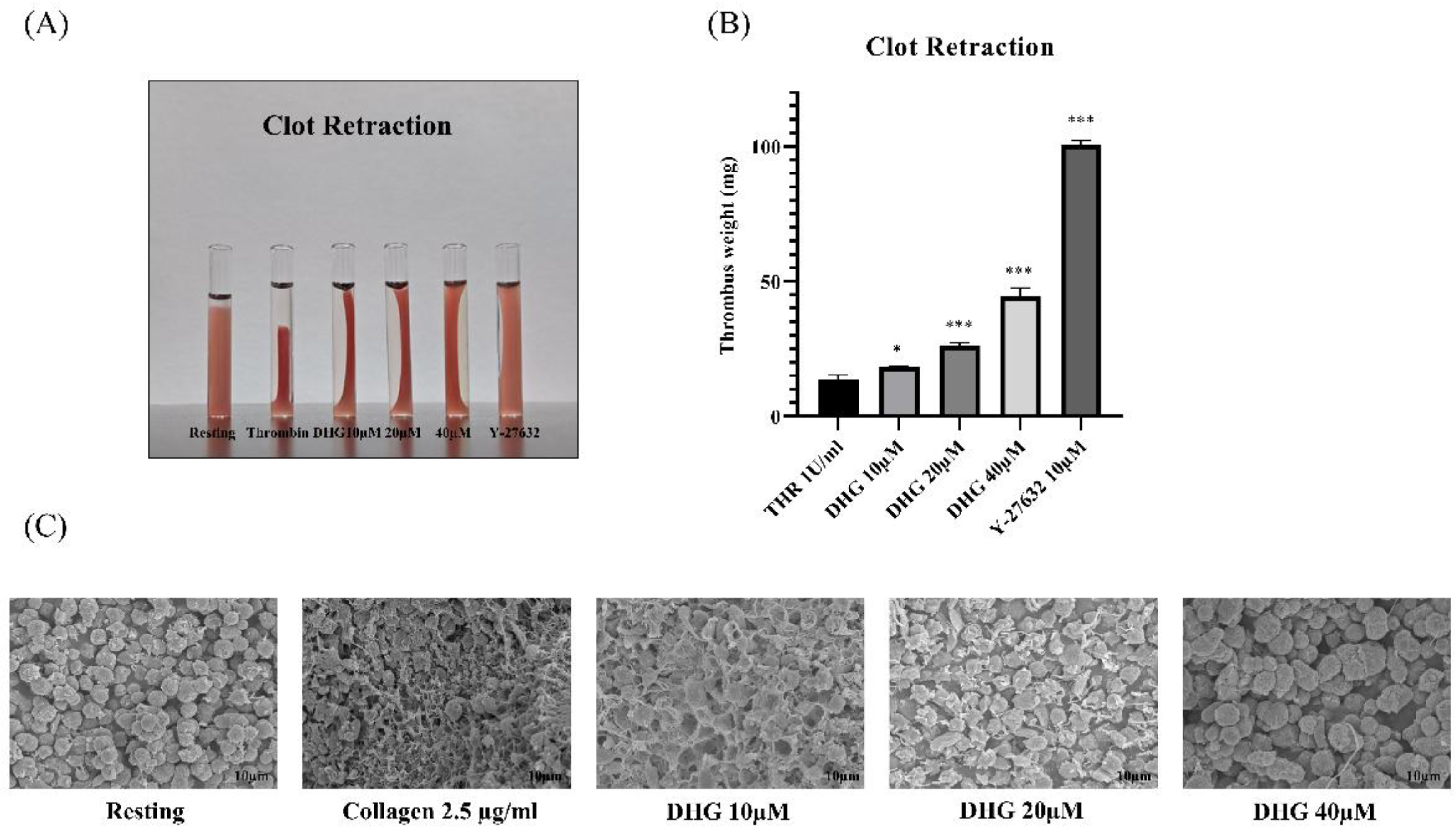 Preprints 159614 g004