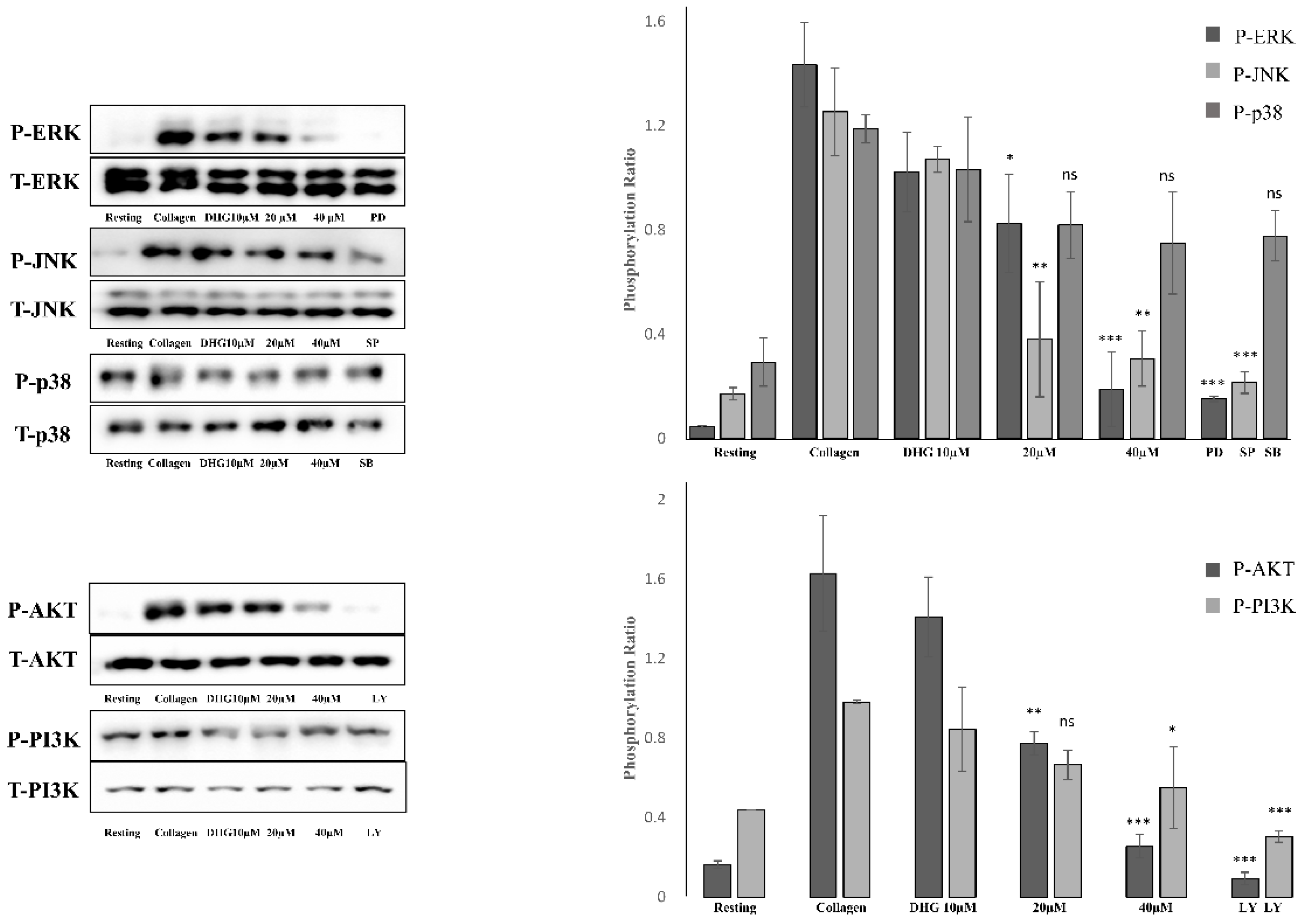 Preprints 159614 g005