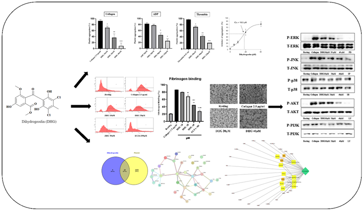 Preprints 159614 i001