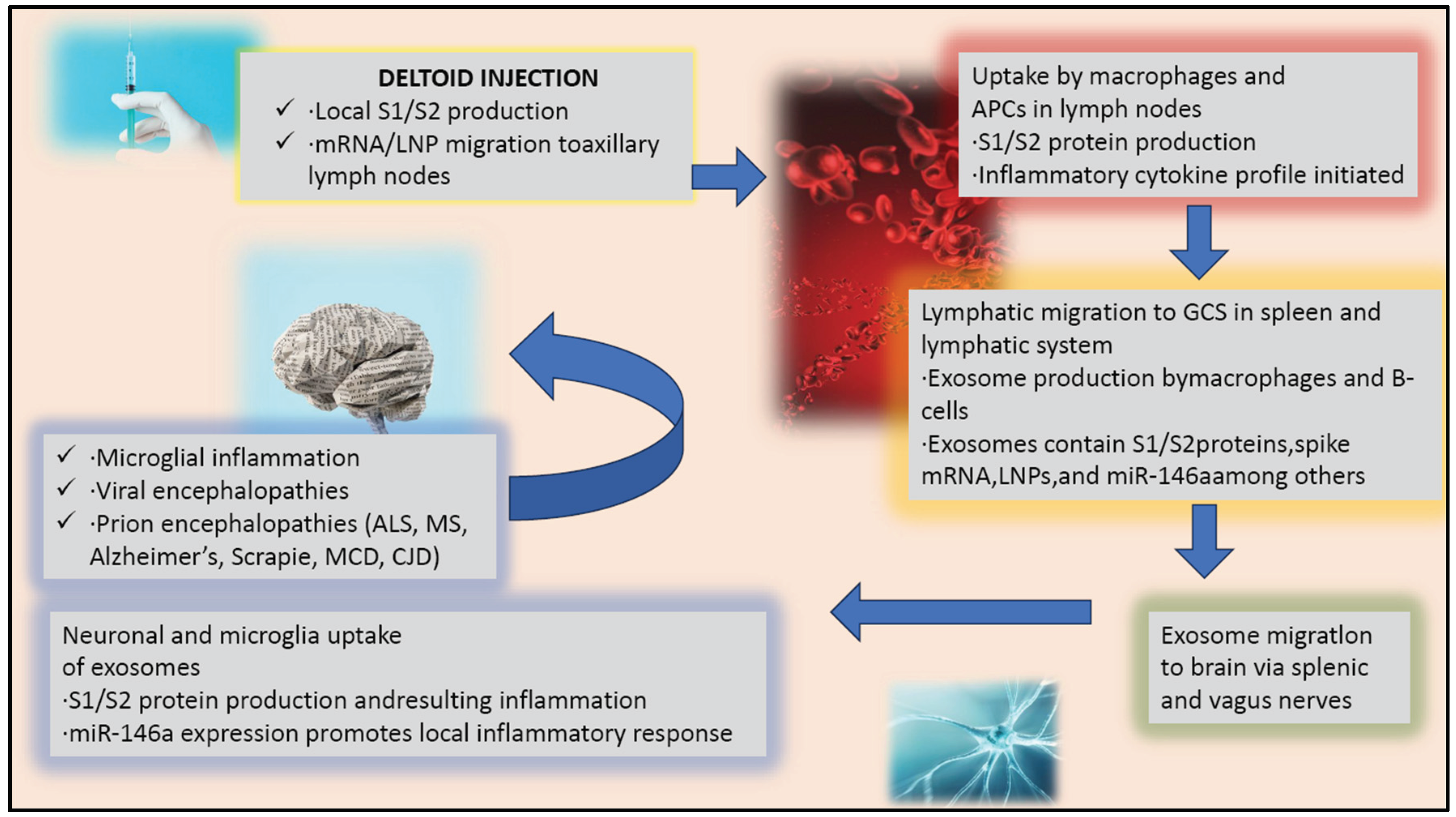 Preprints 100911 g001