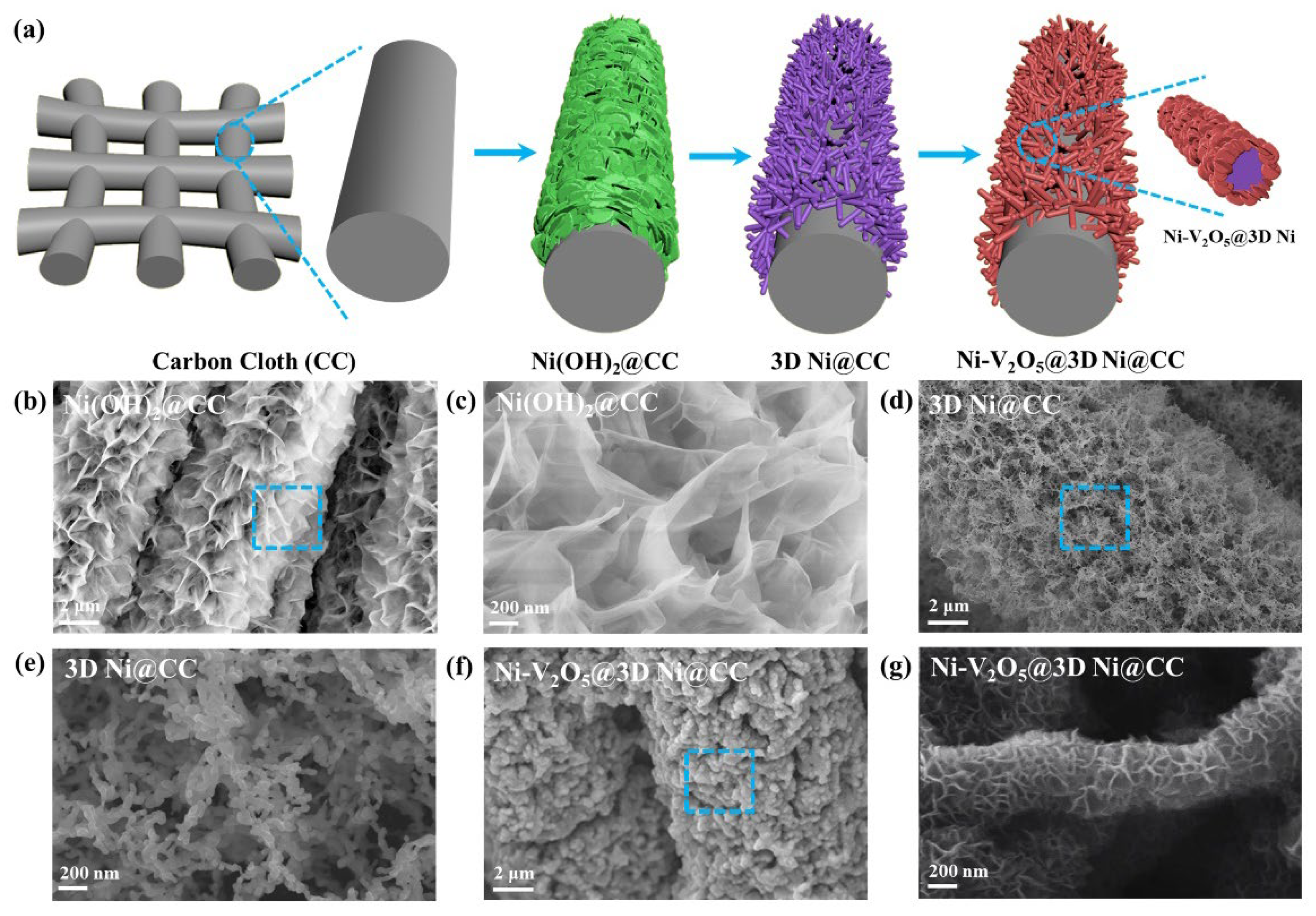 Preprints 93672 g001