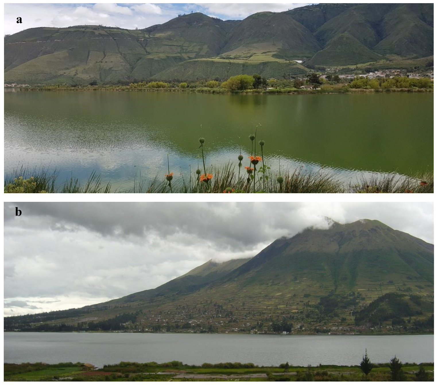 Preprints 172822 g001