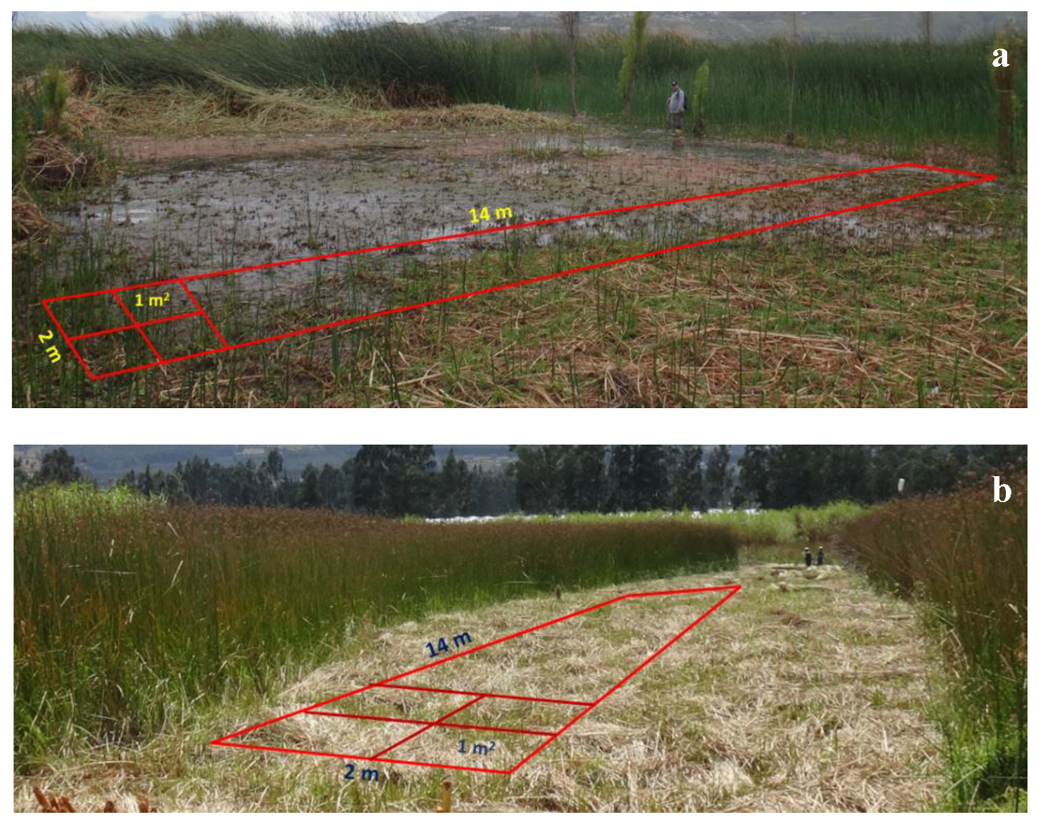 Preprints 172822 g003