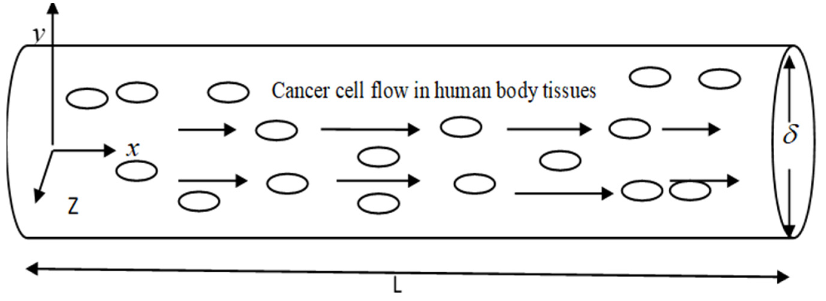 Preprints 70730 g031