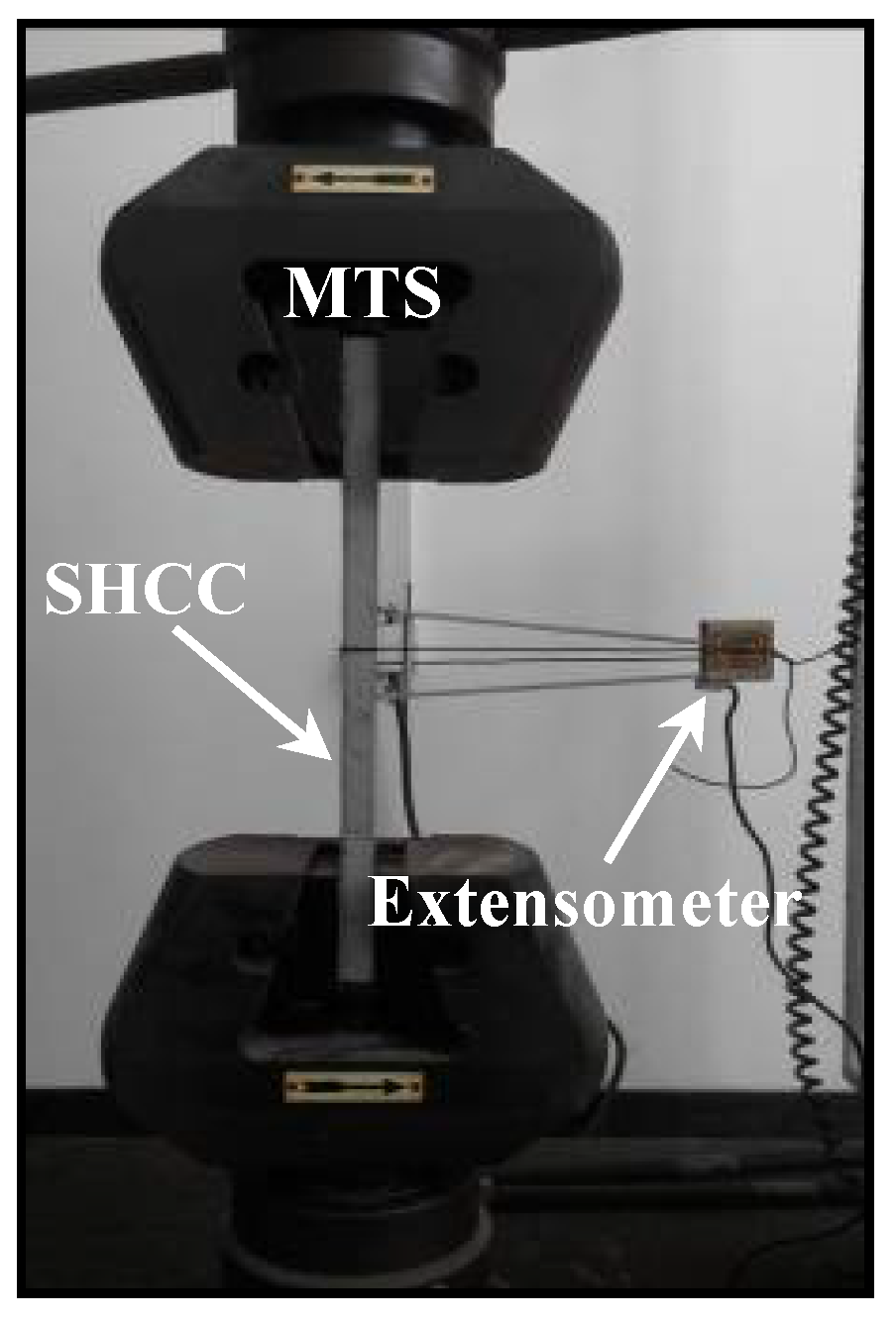 Preprints 104166 g001