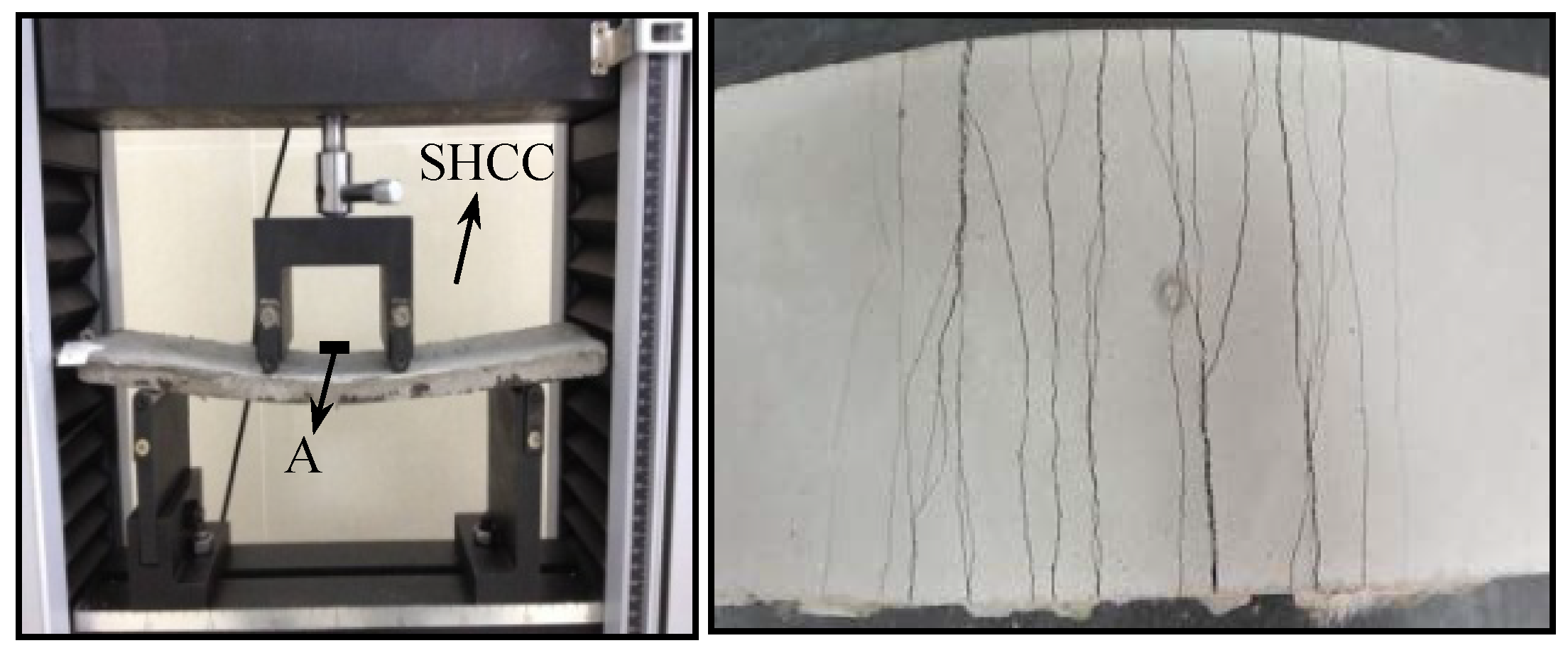 Preprints 104166 g004