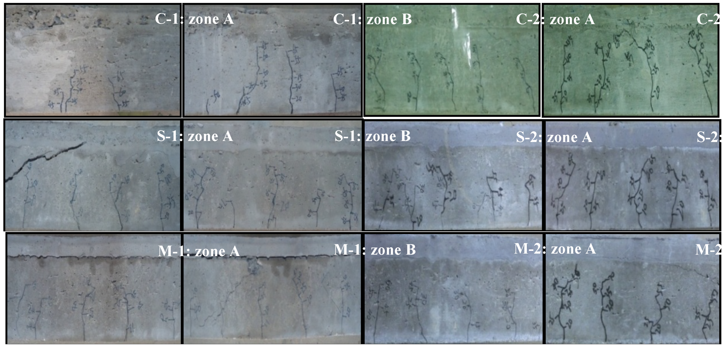 Preprints 104166 g011