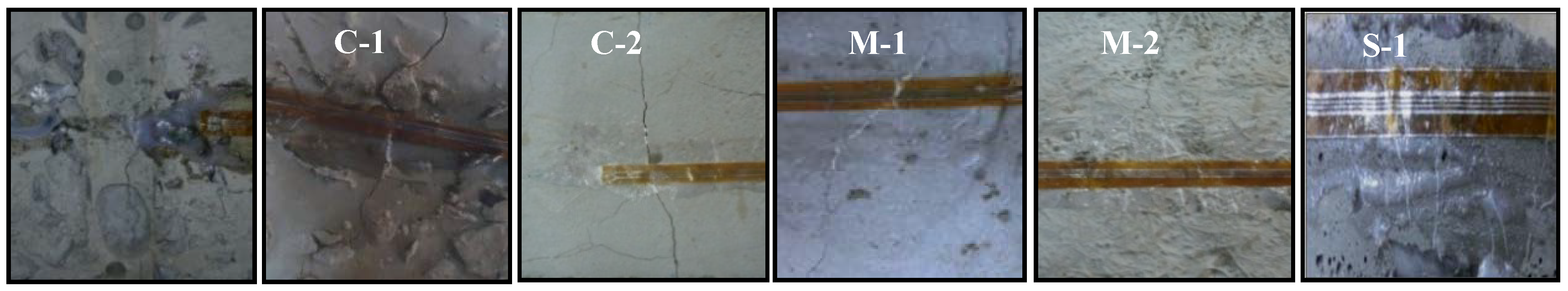 Preprints 104166 g012