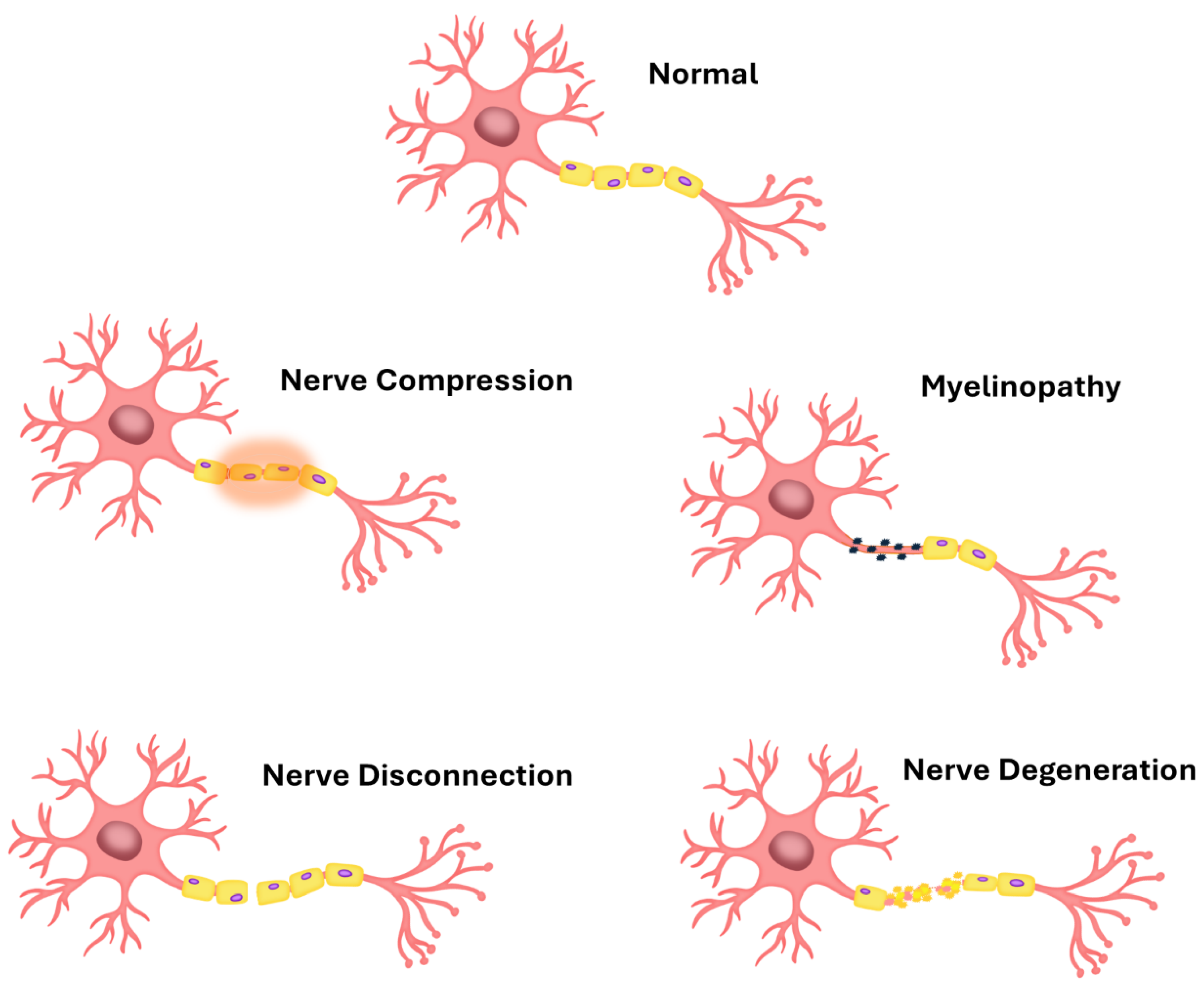 Preprints 174393 g001