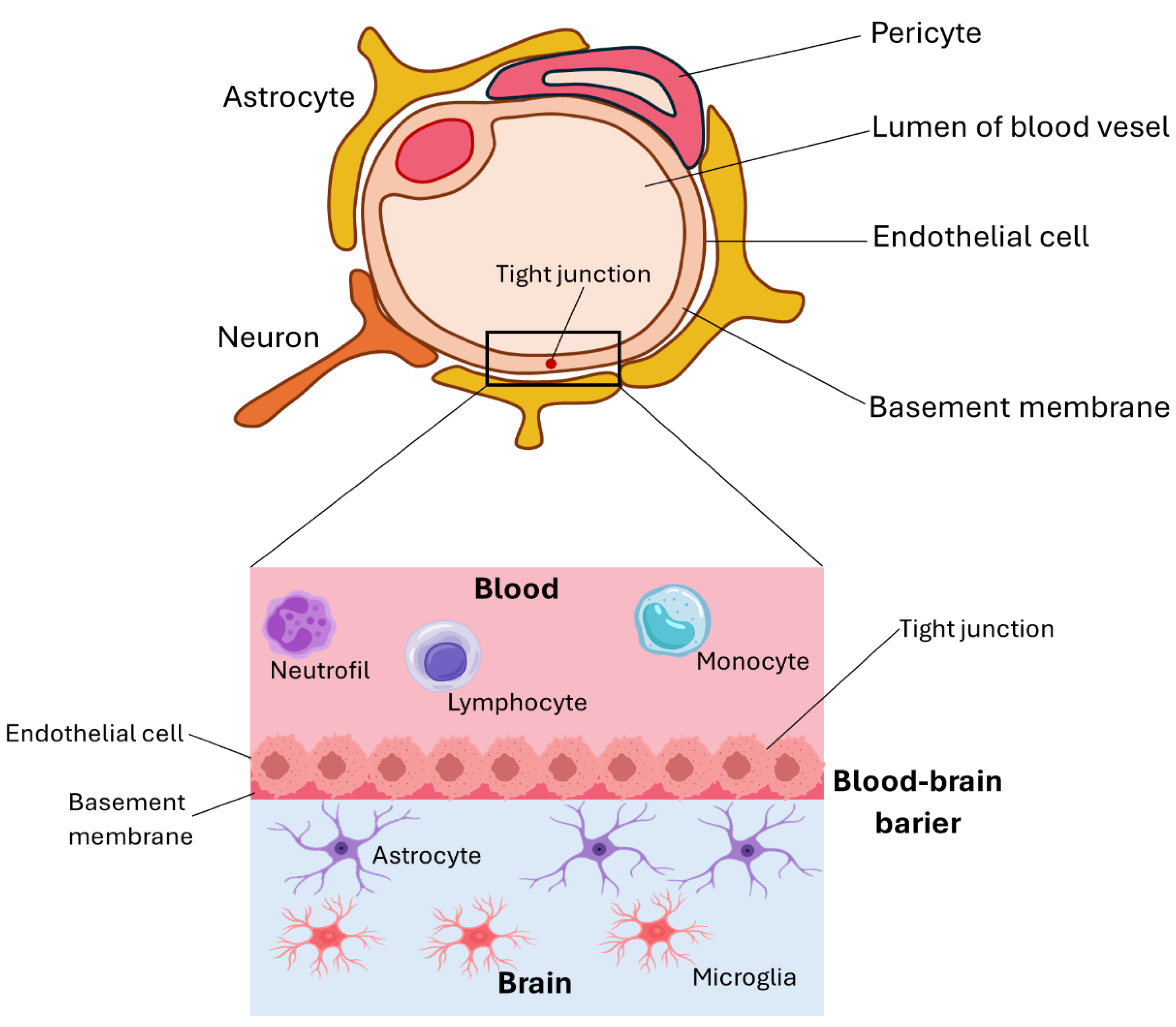Preprints 174393 g002