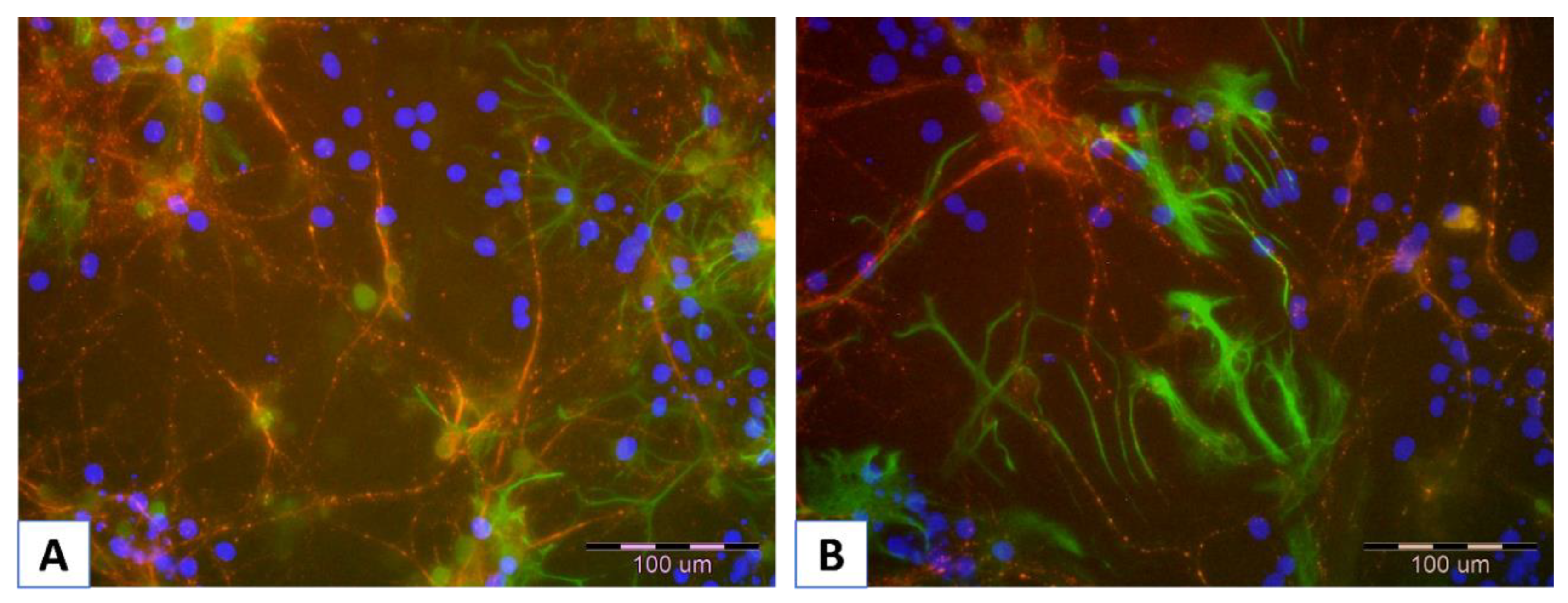 Preprints 174393 g003