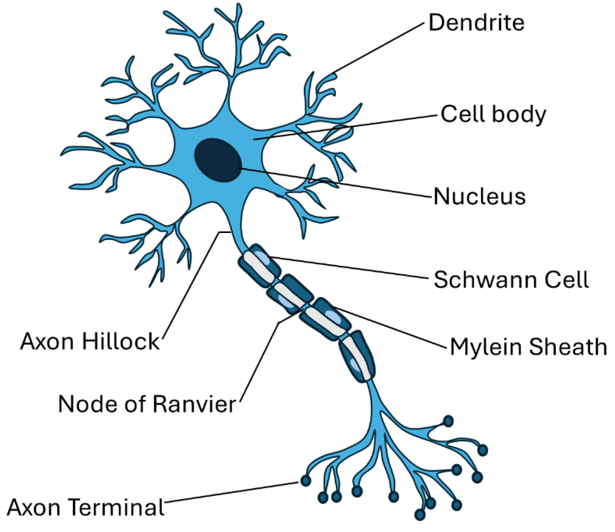 Preprints 174393 g005