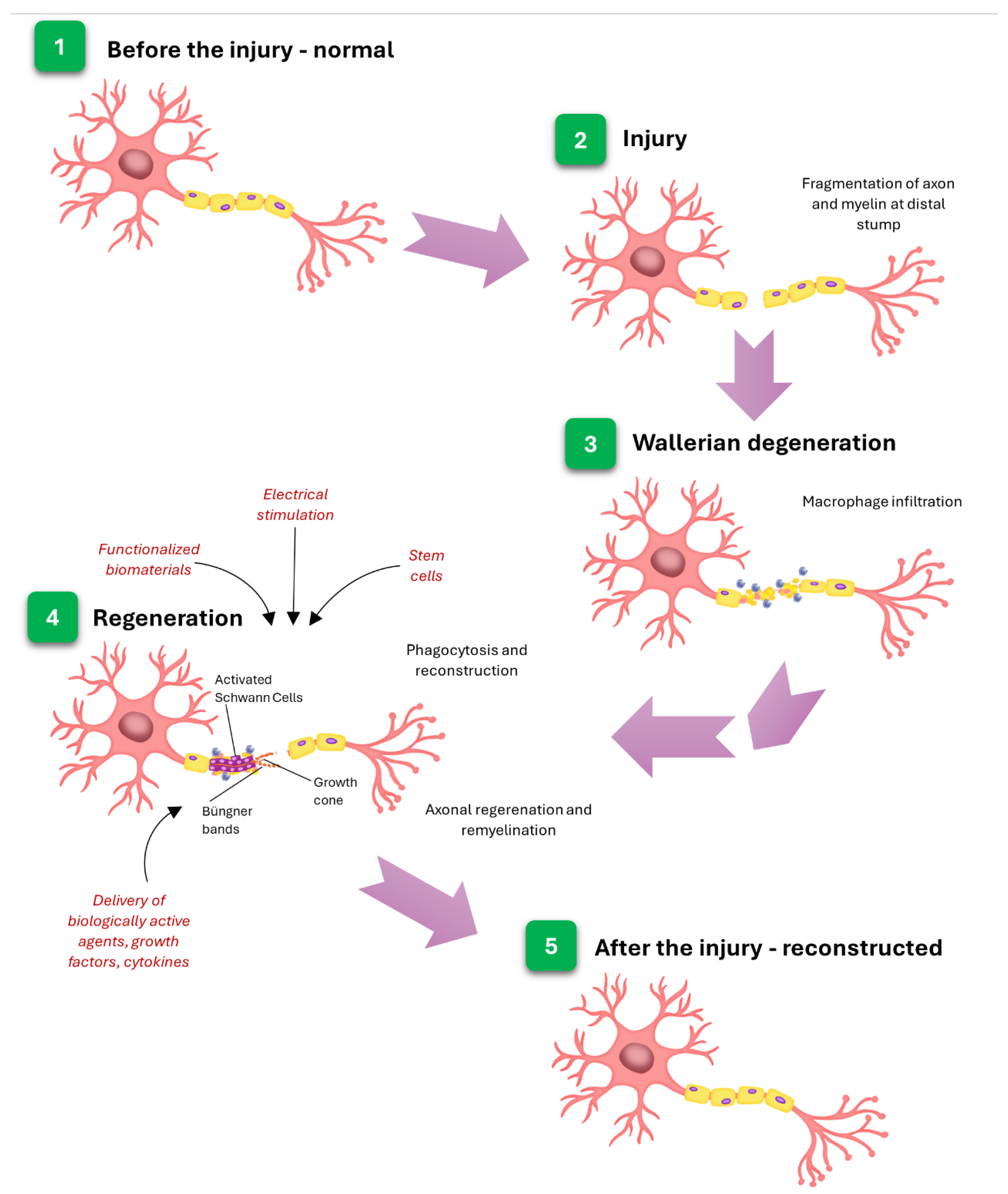 Preprints 174393 g006