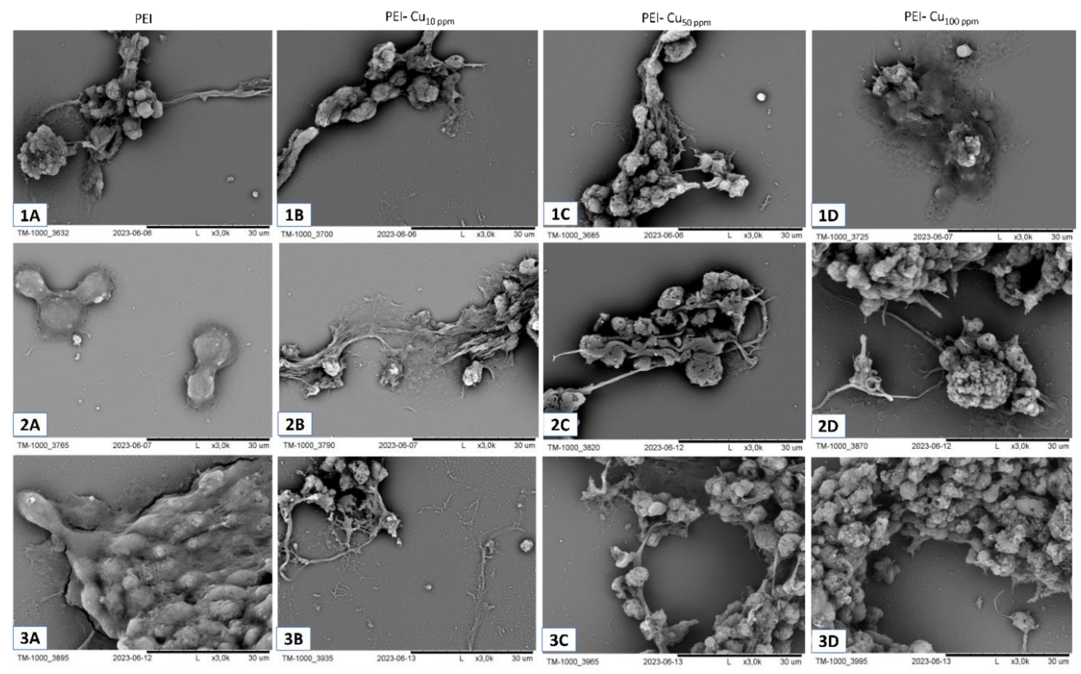Preprints 174393 g009