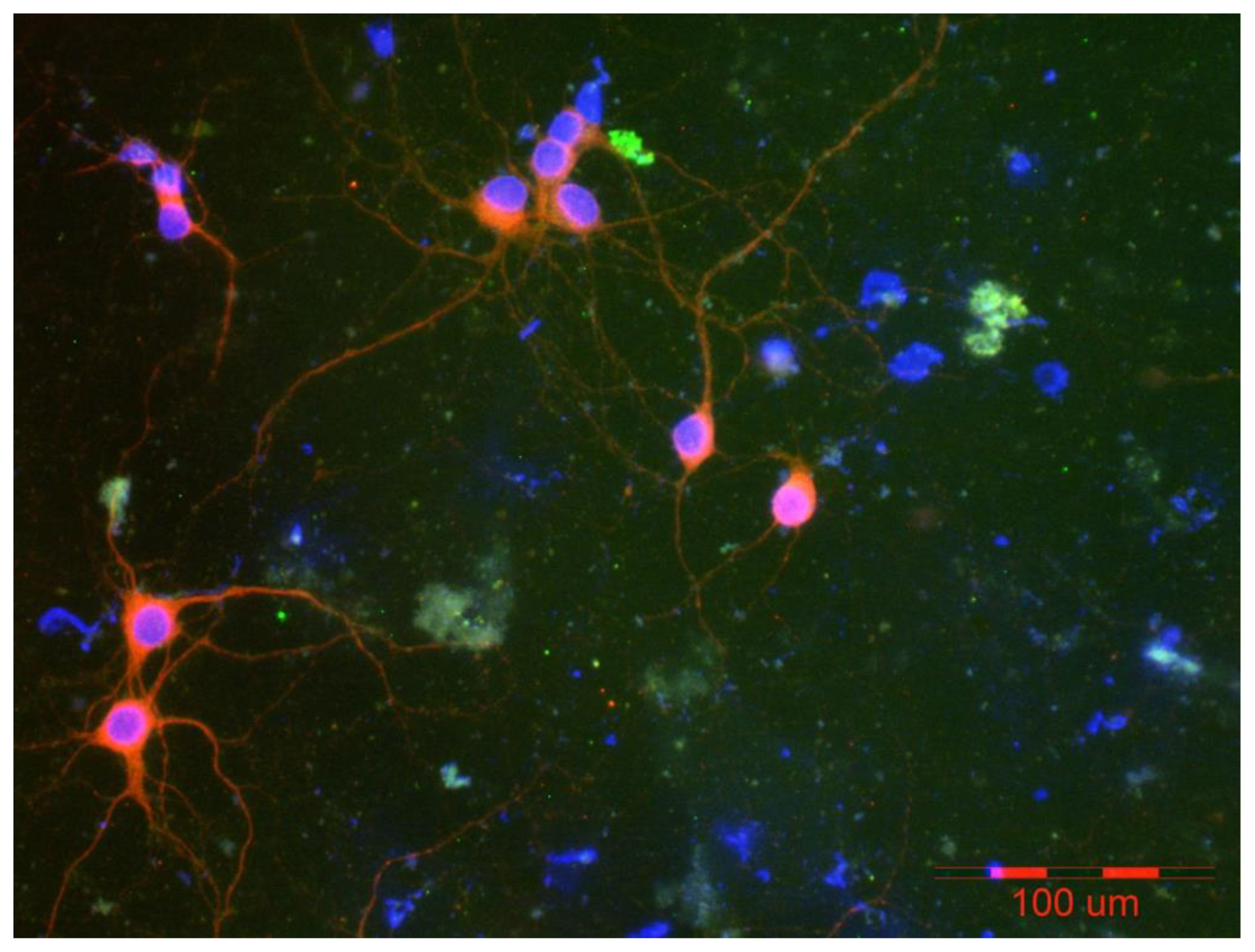 Preprints 174393 g010