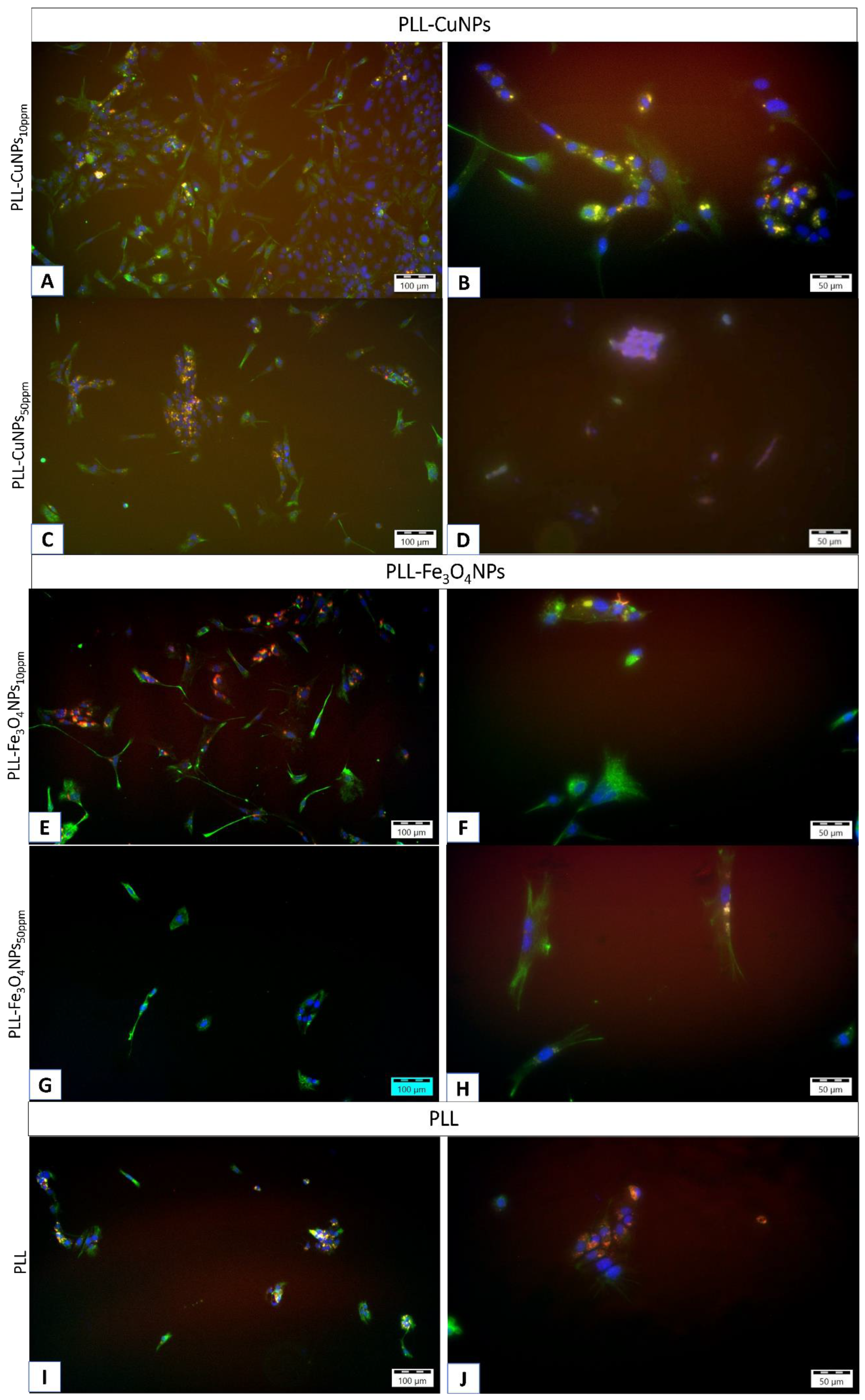 Preprints 174393 g011