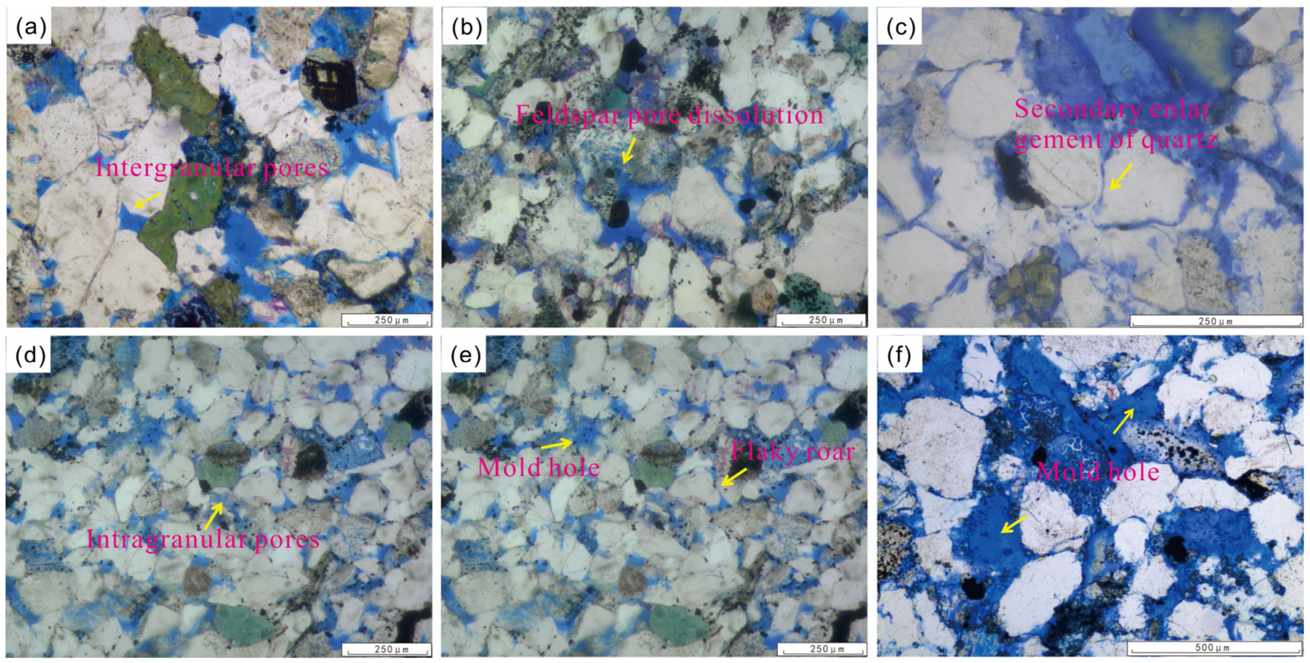 Preprints 193664 g006