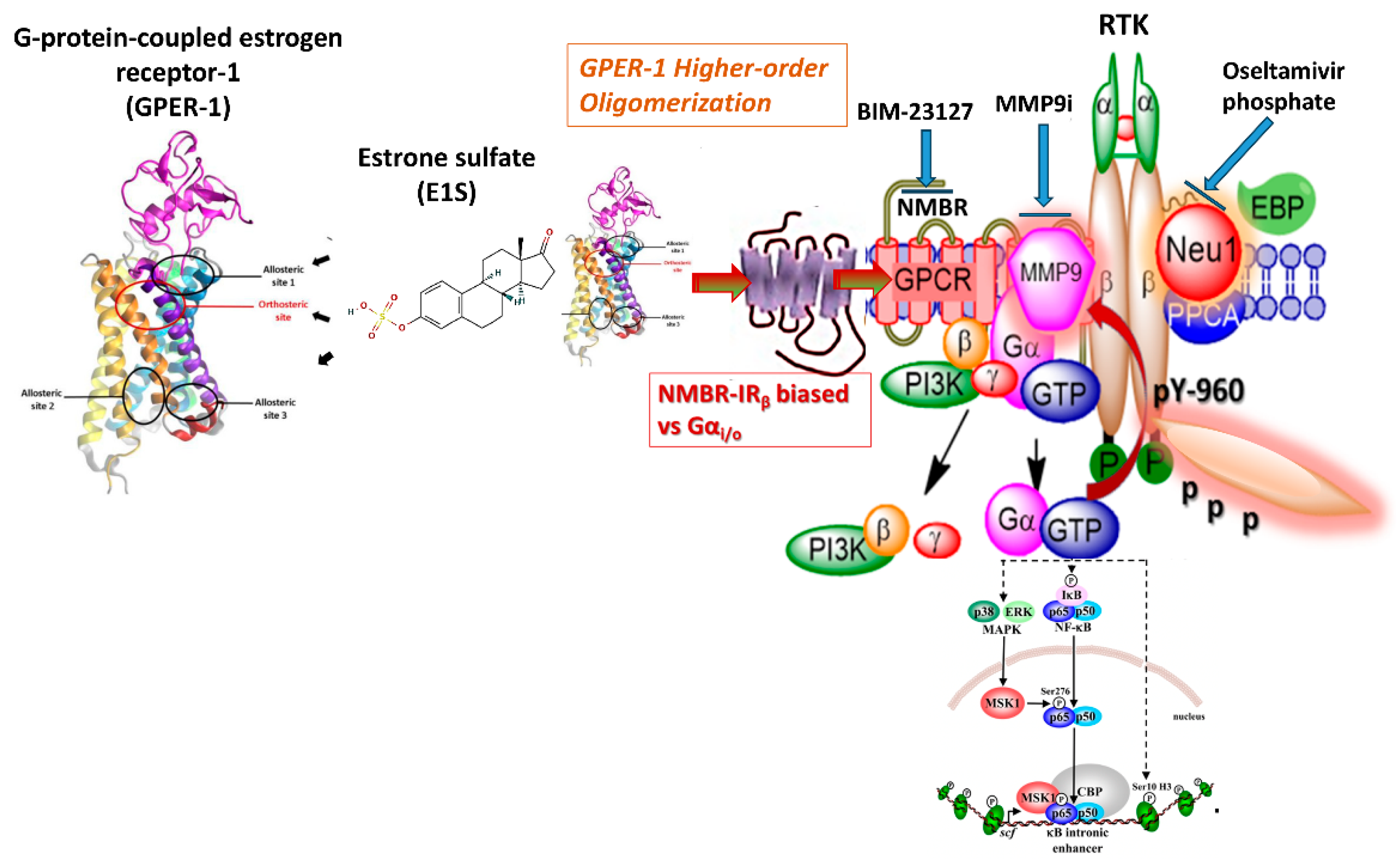 Preprints 232191 g001 Preprints 232191 g001