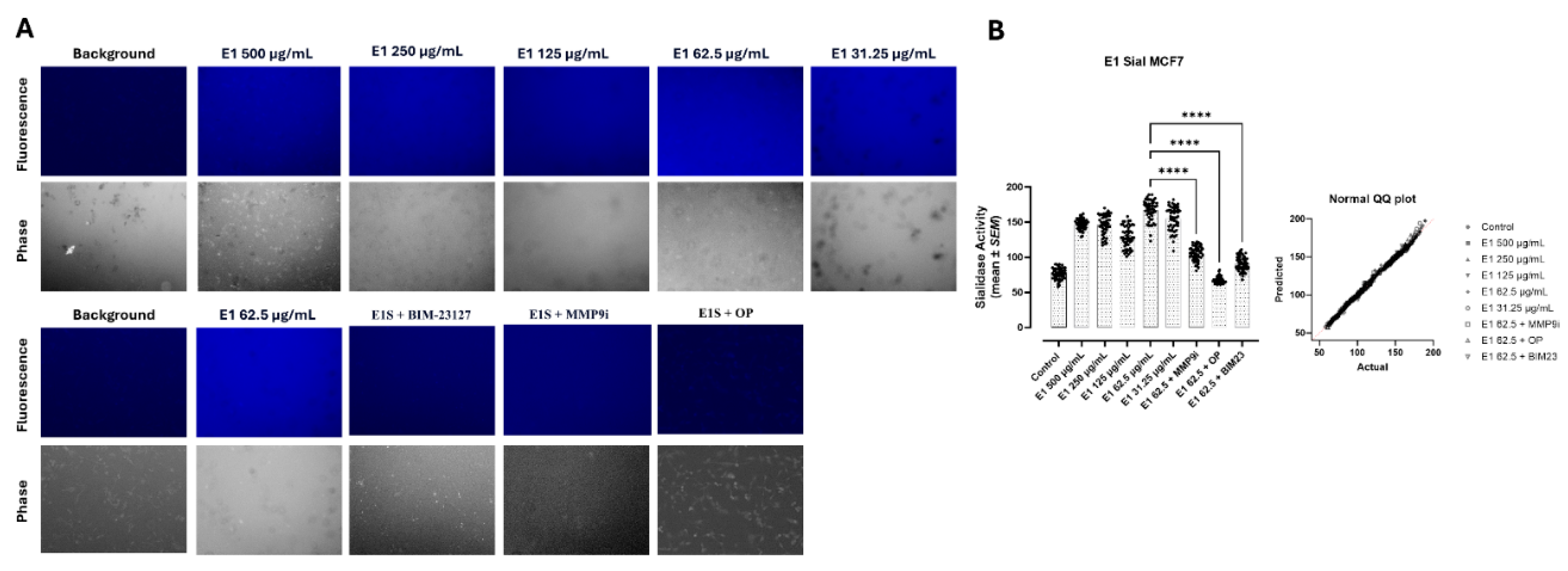 Preprints 232191 g003 Preprints 232191 g003