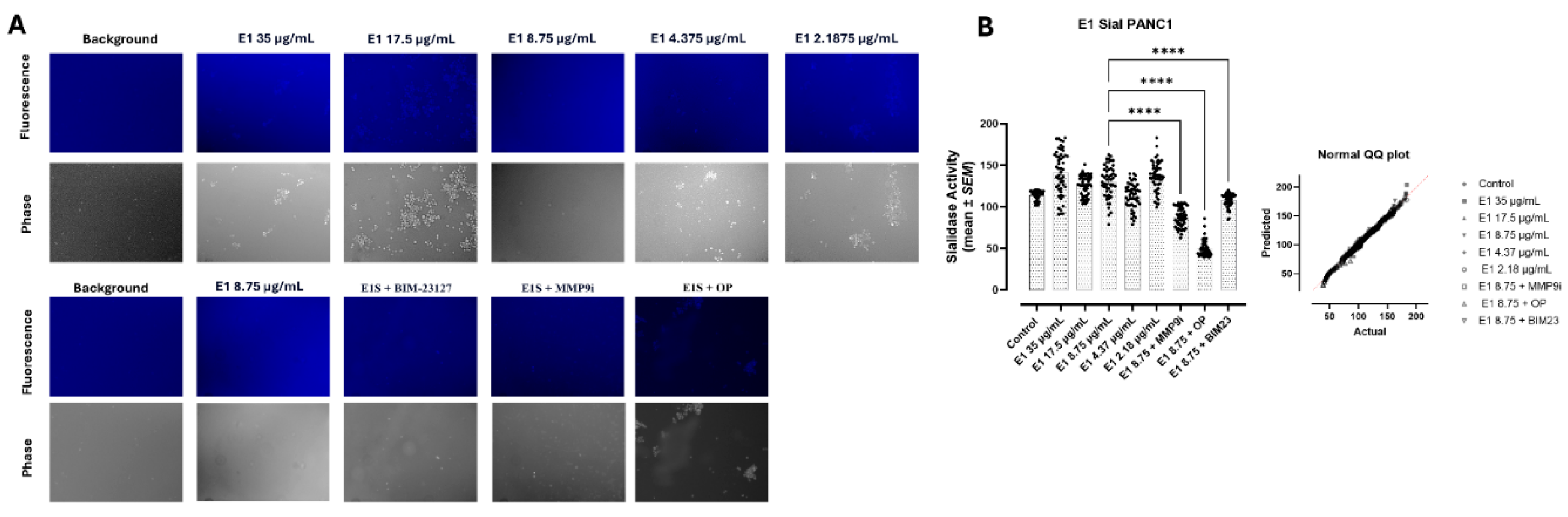 Preprints 232191 g004 Preprints 232191 g004
