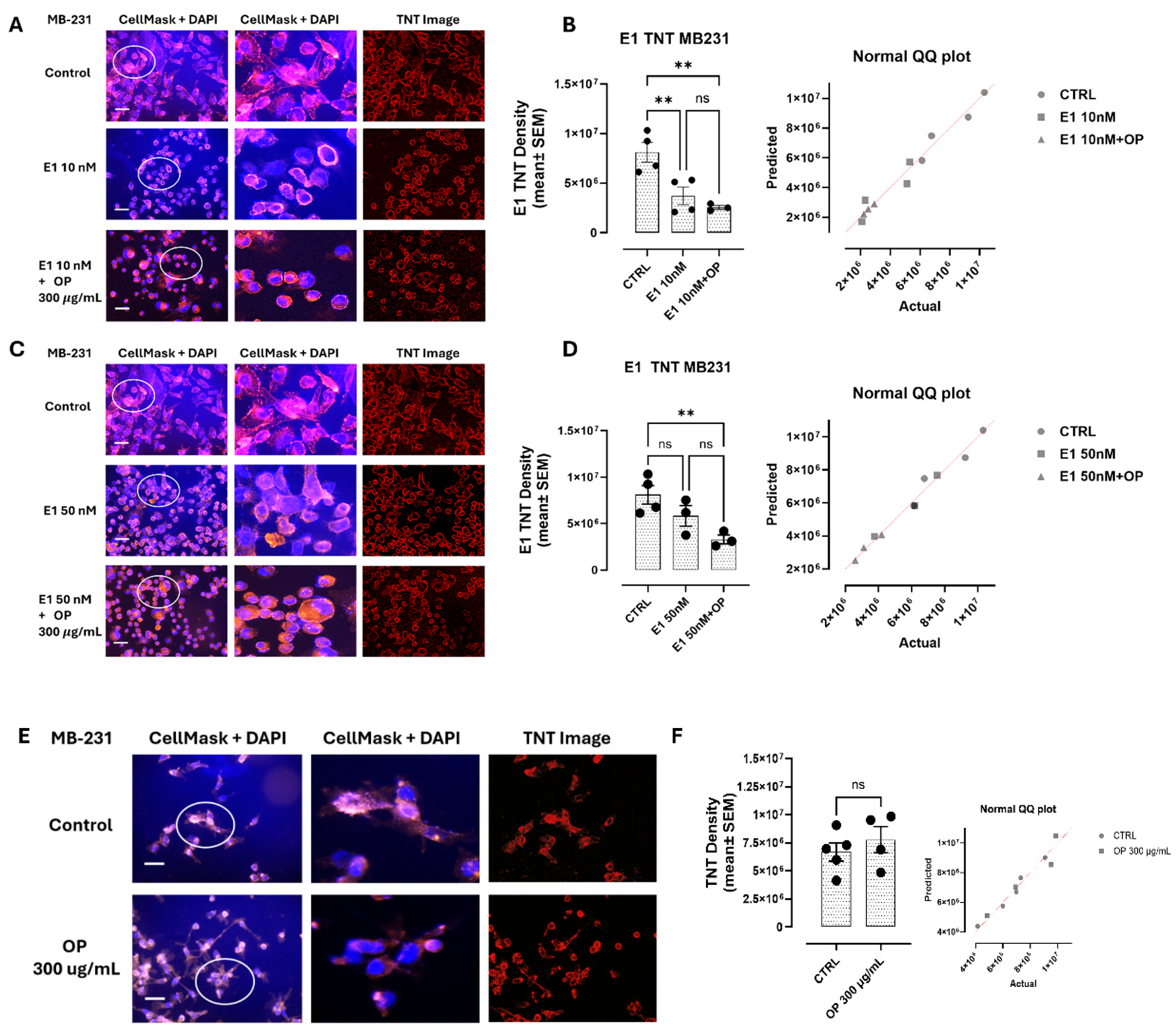 Preprints 232191 g006 Preprints 232191 g006