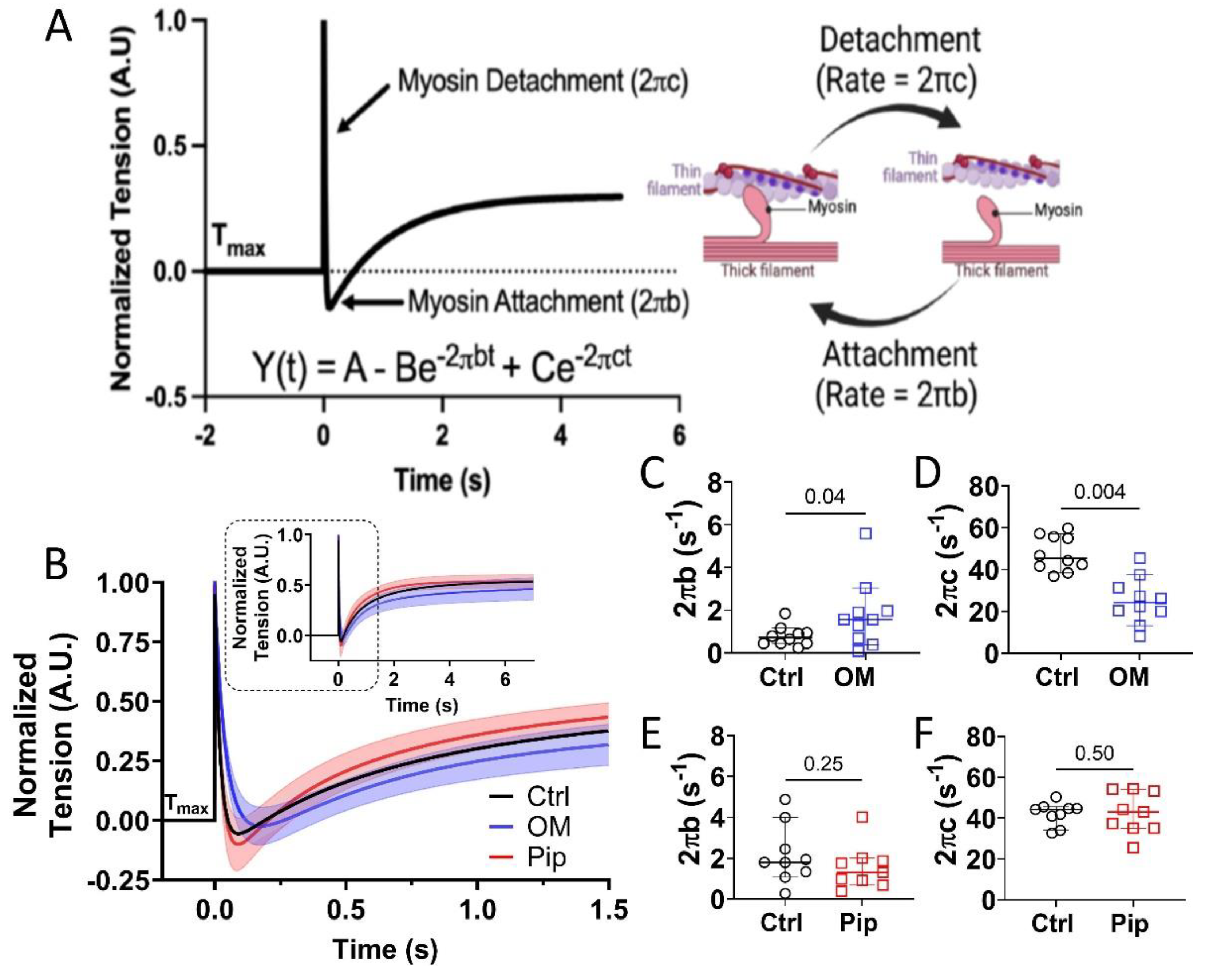 Preprints 148758 g002