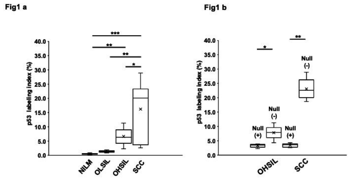 Preprints 225587 g001