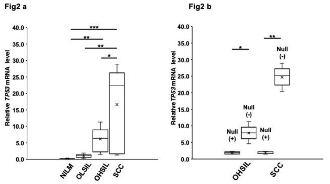 Preprints 225587 g002