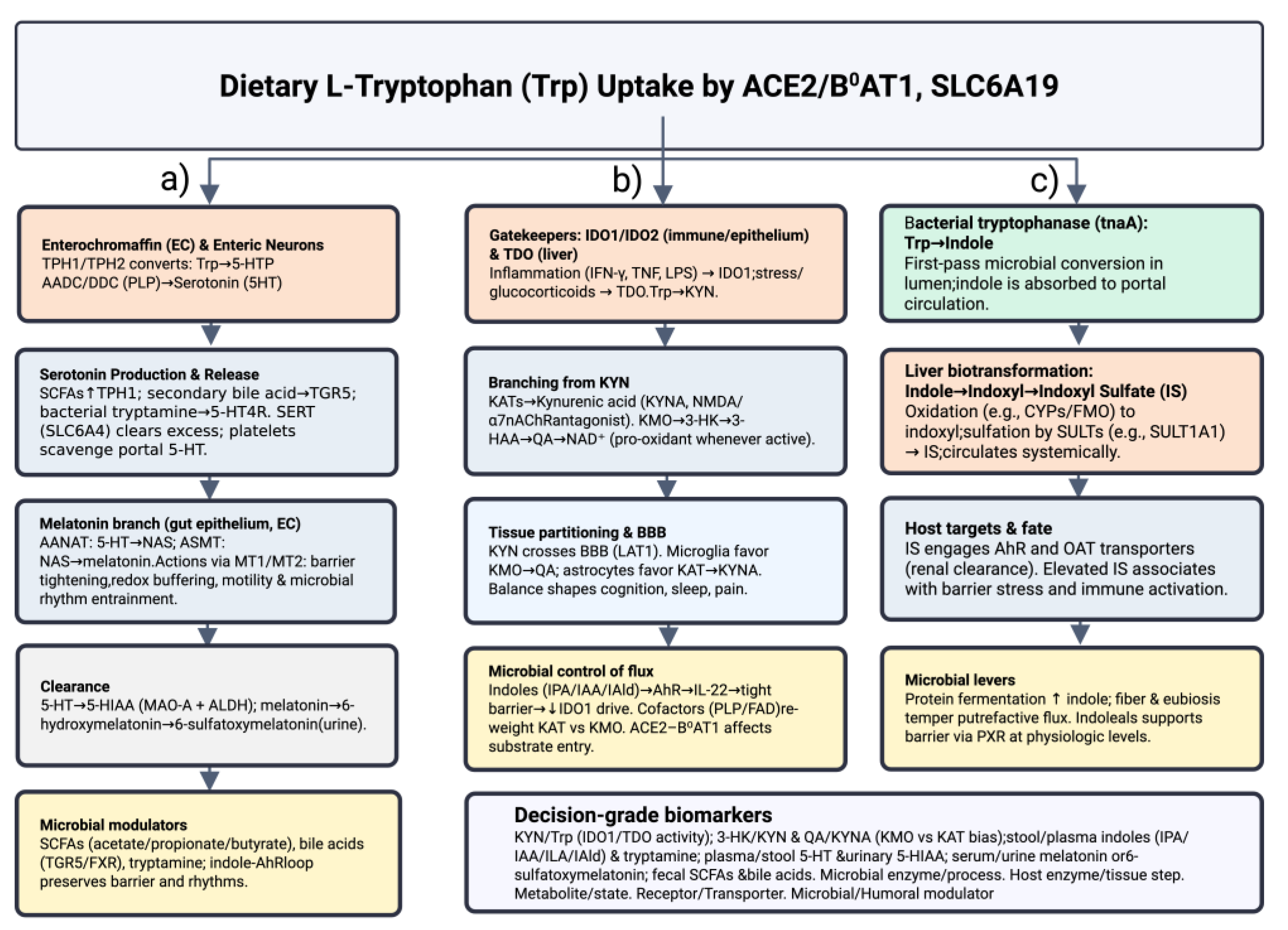 Preprints 172406 g001