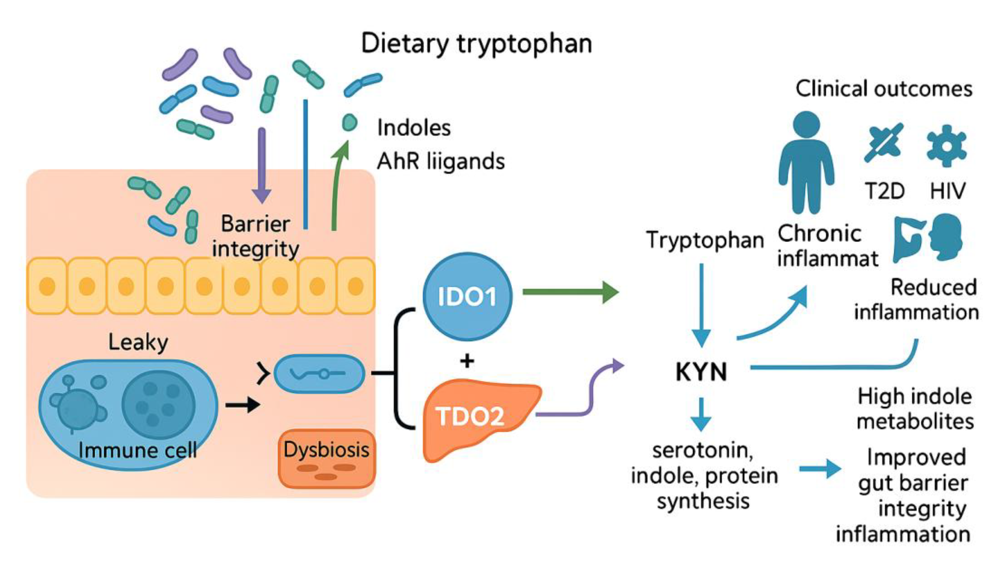 Preprints 172406 g002