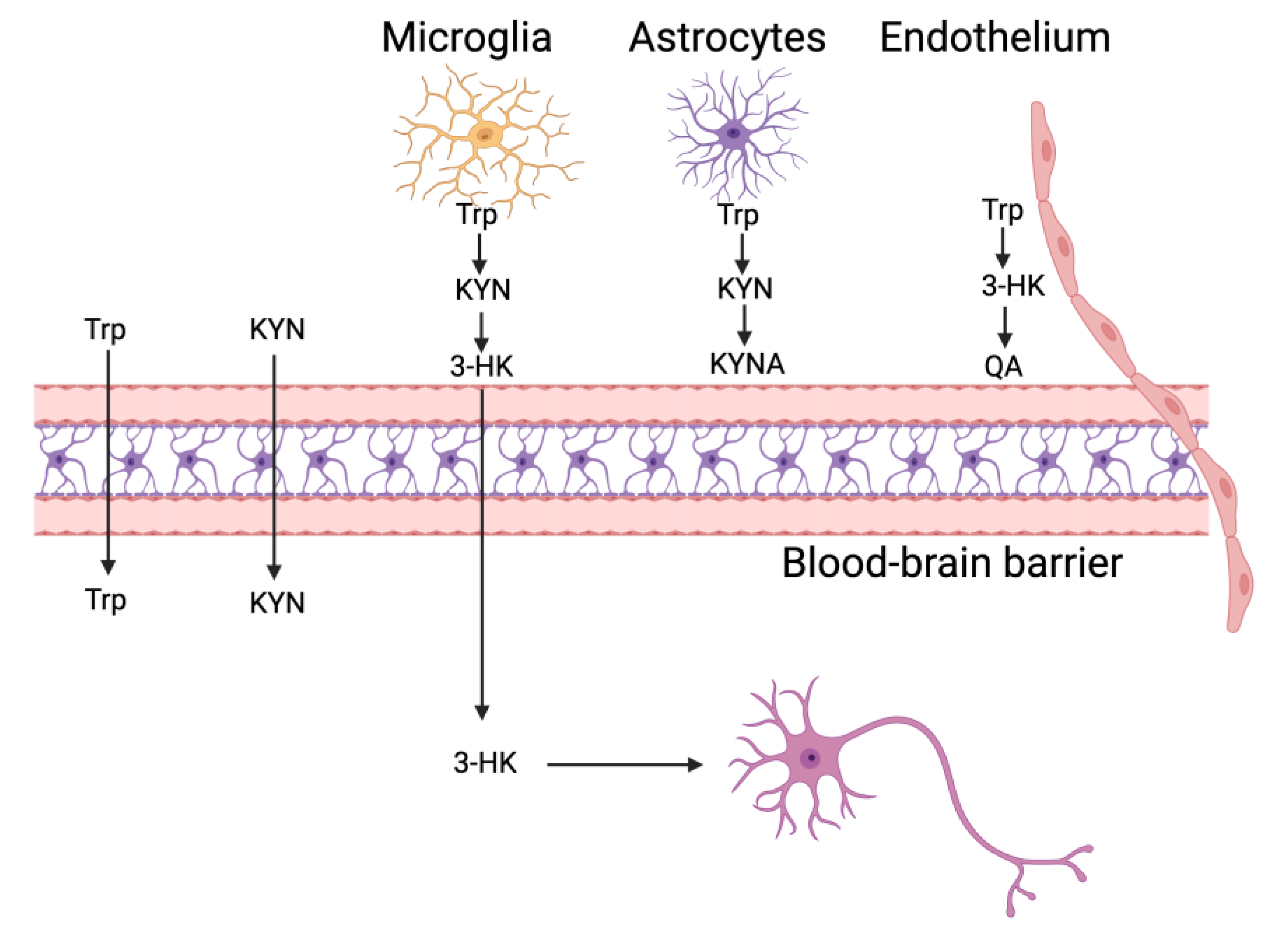 Preprints 172406 g003