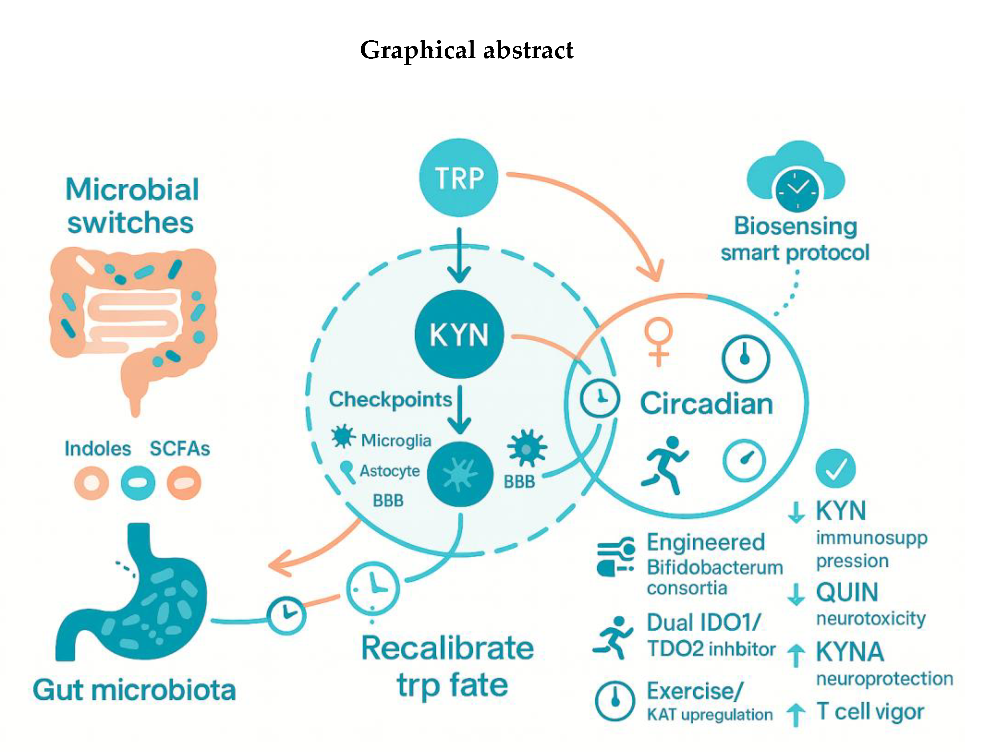 Preprints 172406 i001