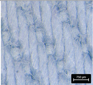 Preprints 177719 i001