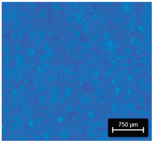 Preprints 177719 i003